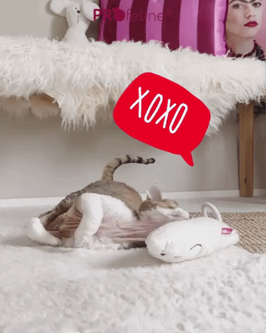 mouse-feline-wiederbefuellbar Katzenspielzeug Maus Feline nachfüllbar
