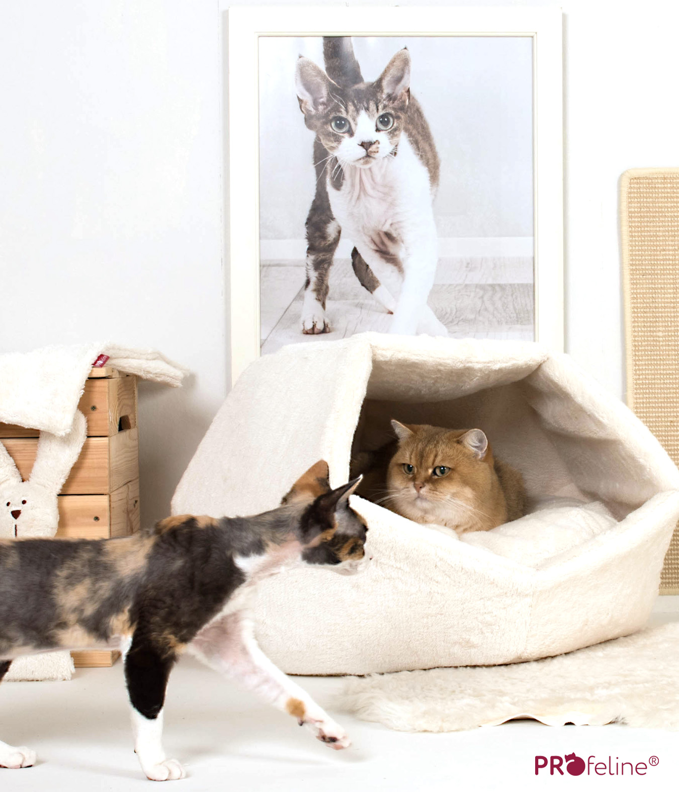 Katzenhöhlen gross Baumwolle Made in Germany