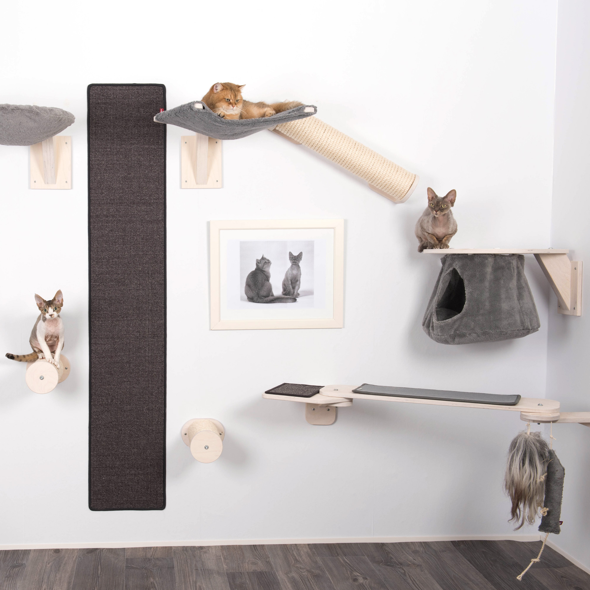Katzen Wand Kltterteppich Anthrazit