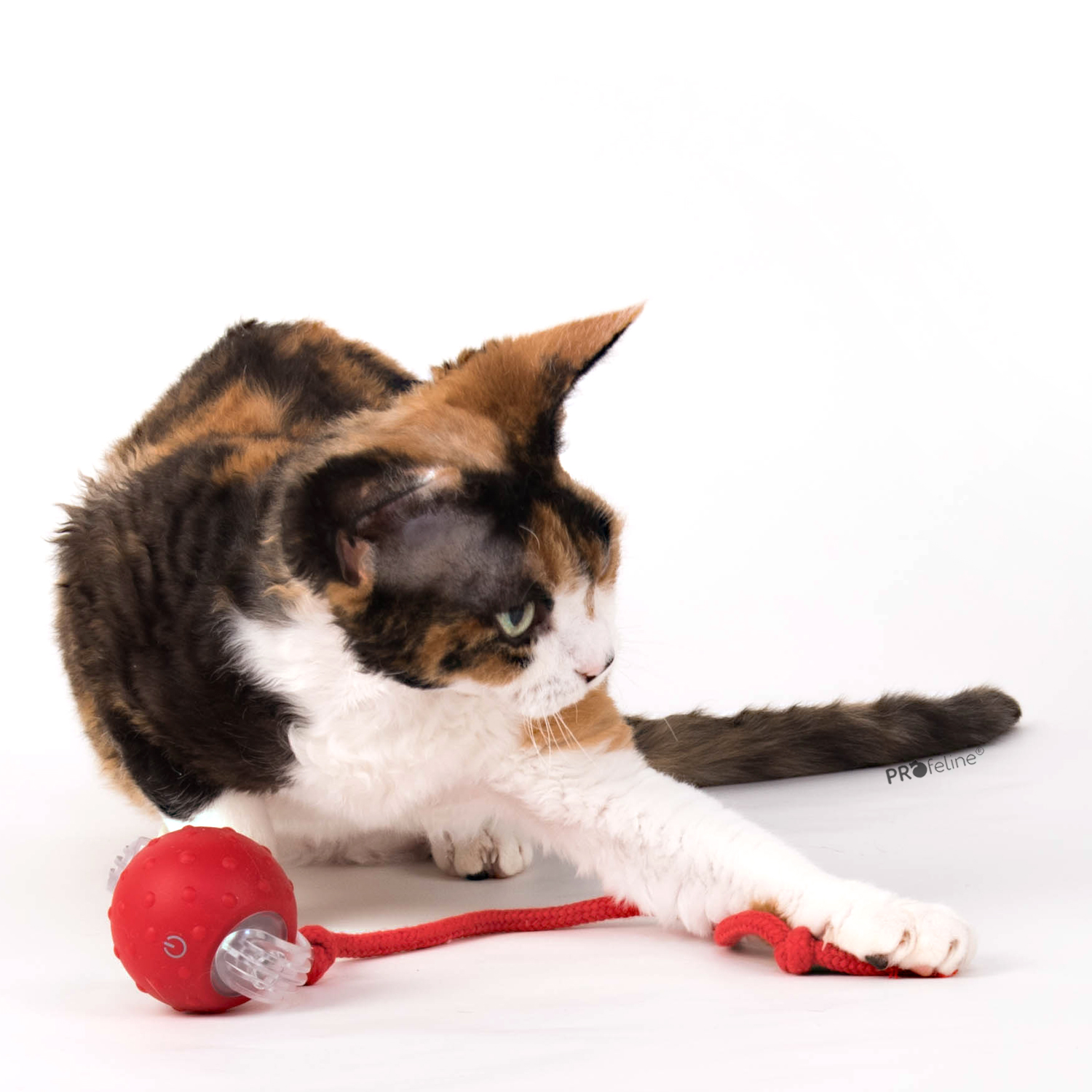 Electric Smart Cat Toy RED Elektrisches Katzenspielzeug Ball rot USB