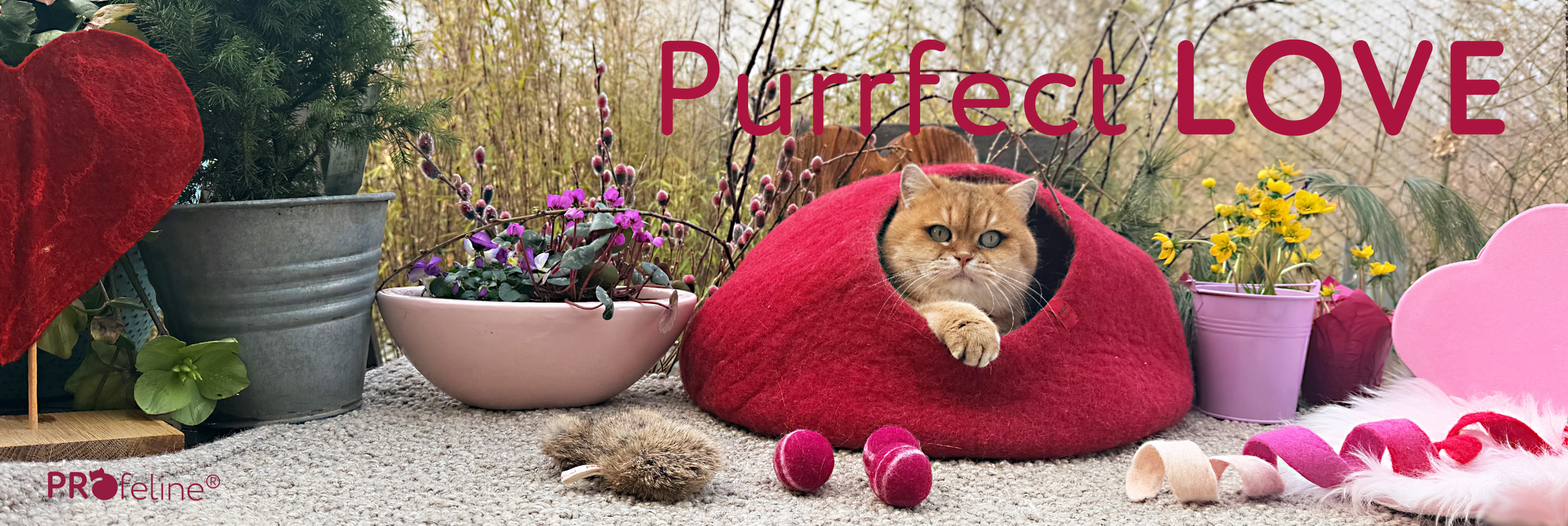 Katzenshop mit nachhaltigen Zubehör