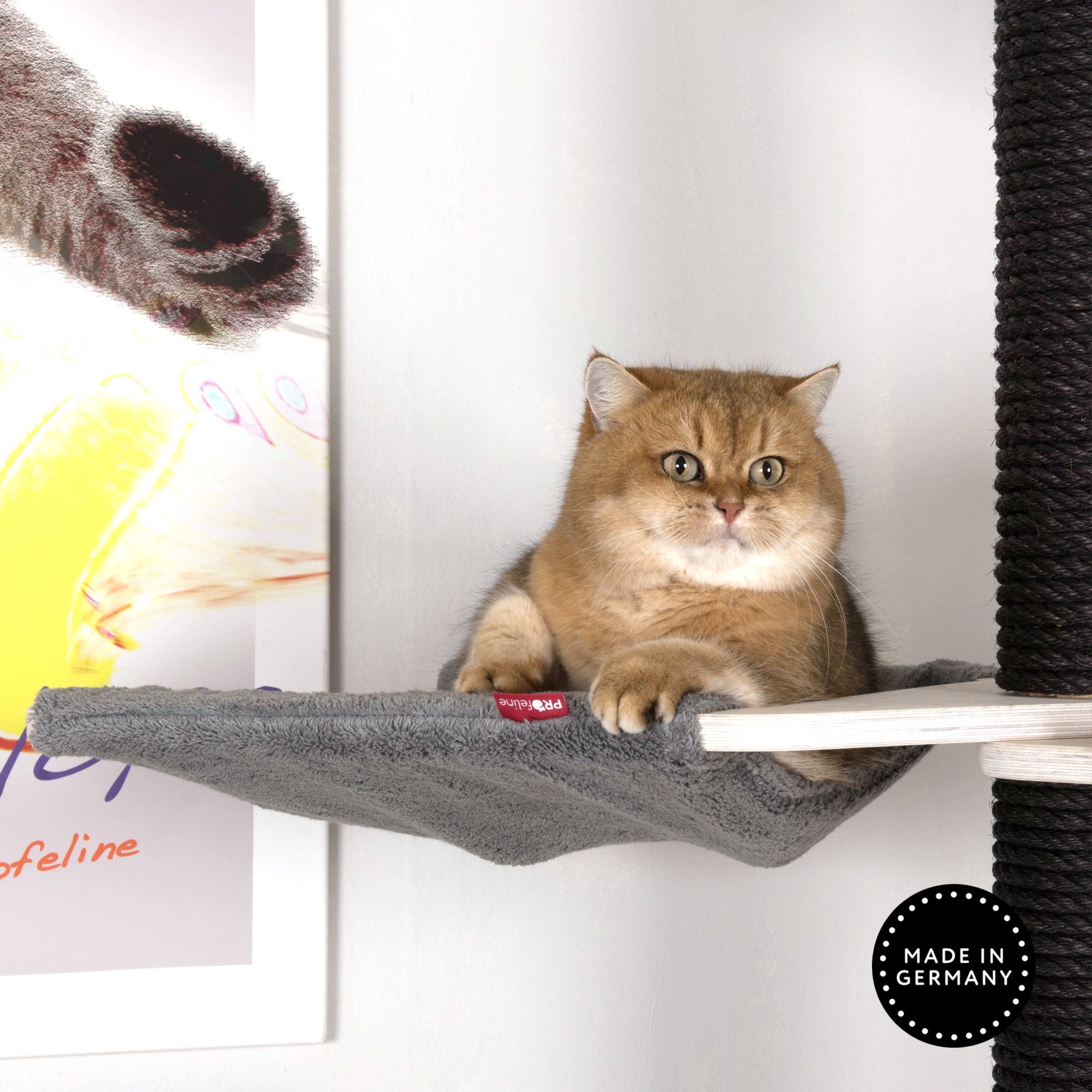 Deckenspanner Modell Pauline Hängematte grosse Katzen grau