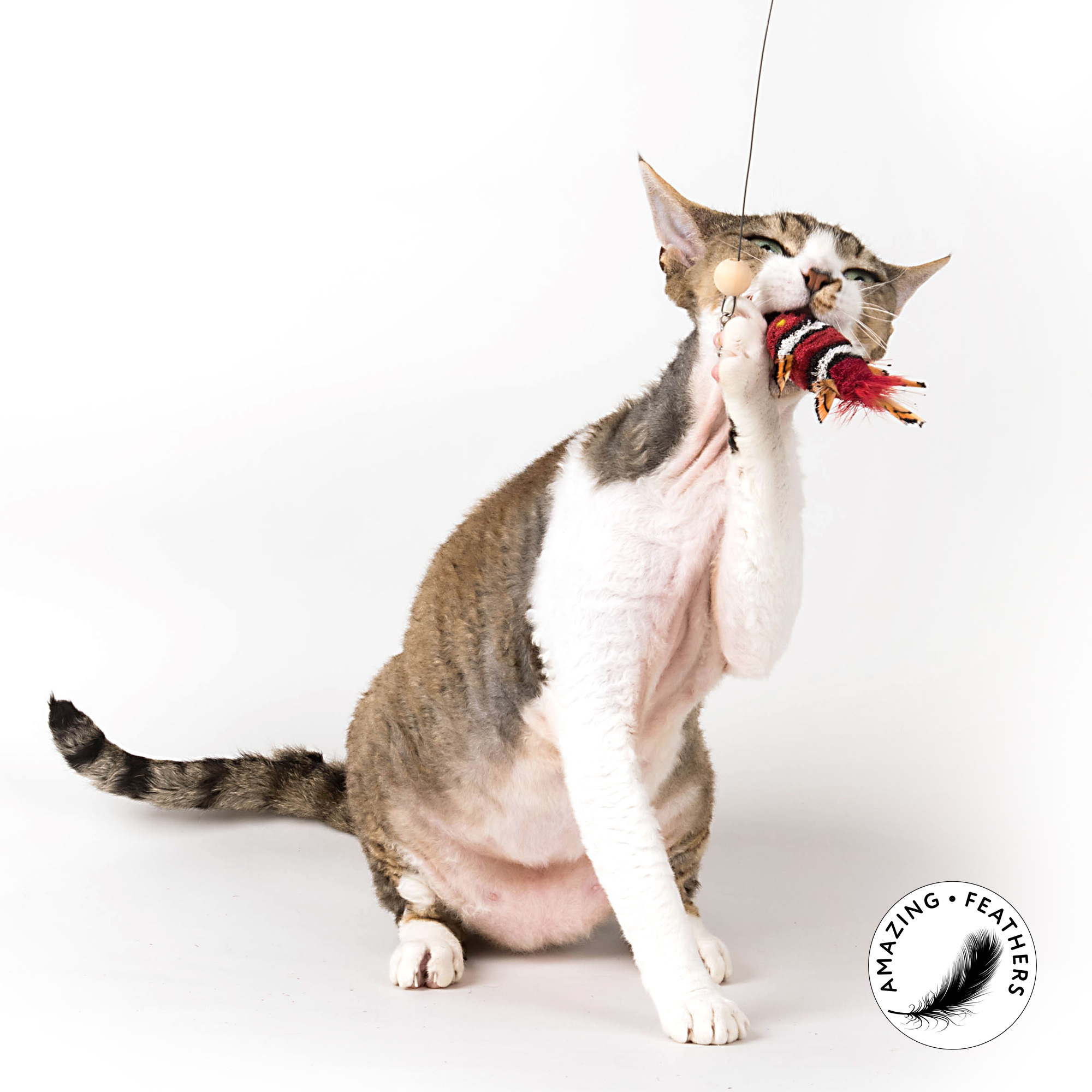 cat-toy-flying-fish-doppelpack-red Profeline - Special Edition in RED - Anhänger