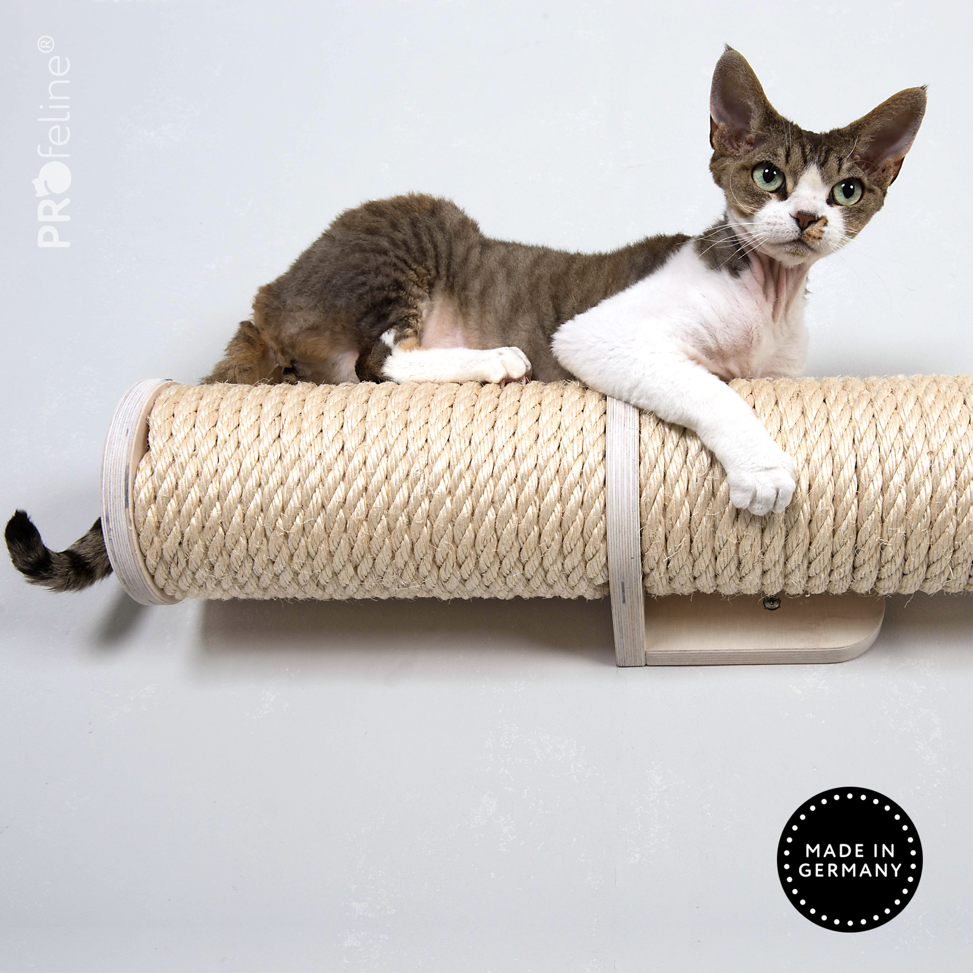 katzen-laufsteg-runway-katze-weiss-1 Sisal Natur, Holzfarbe Weiss