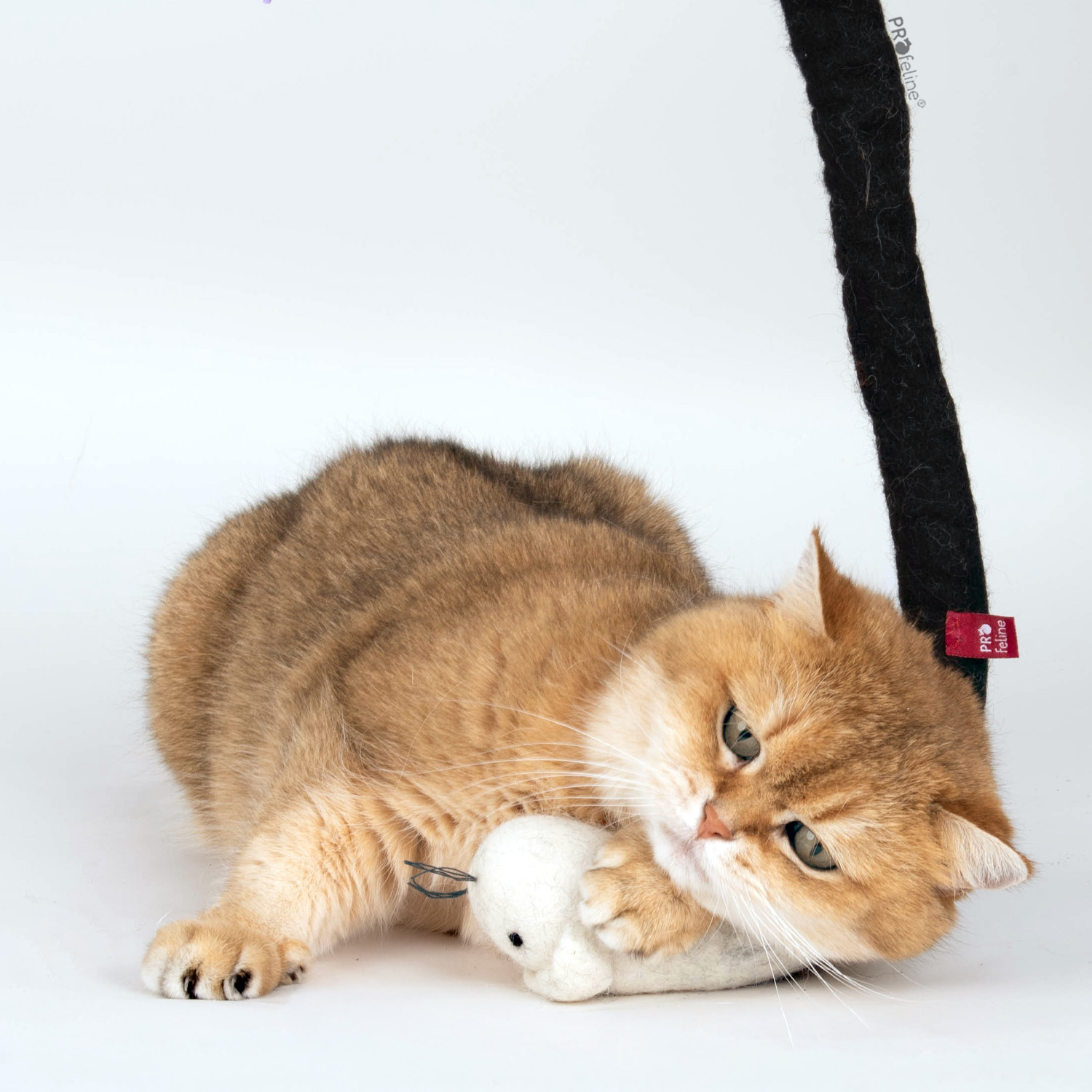 Woolly LongMouse aus 100% Schurwolle