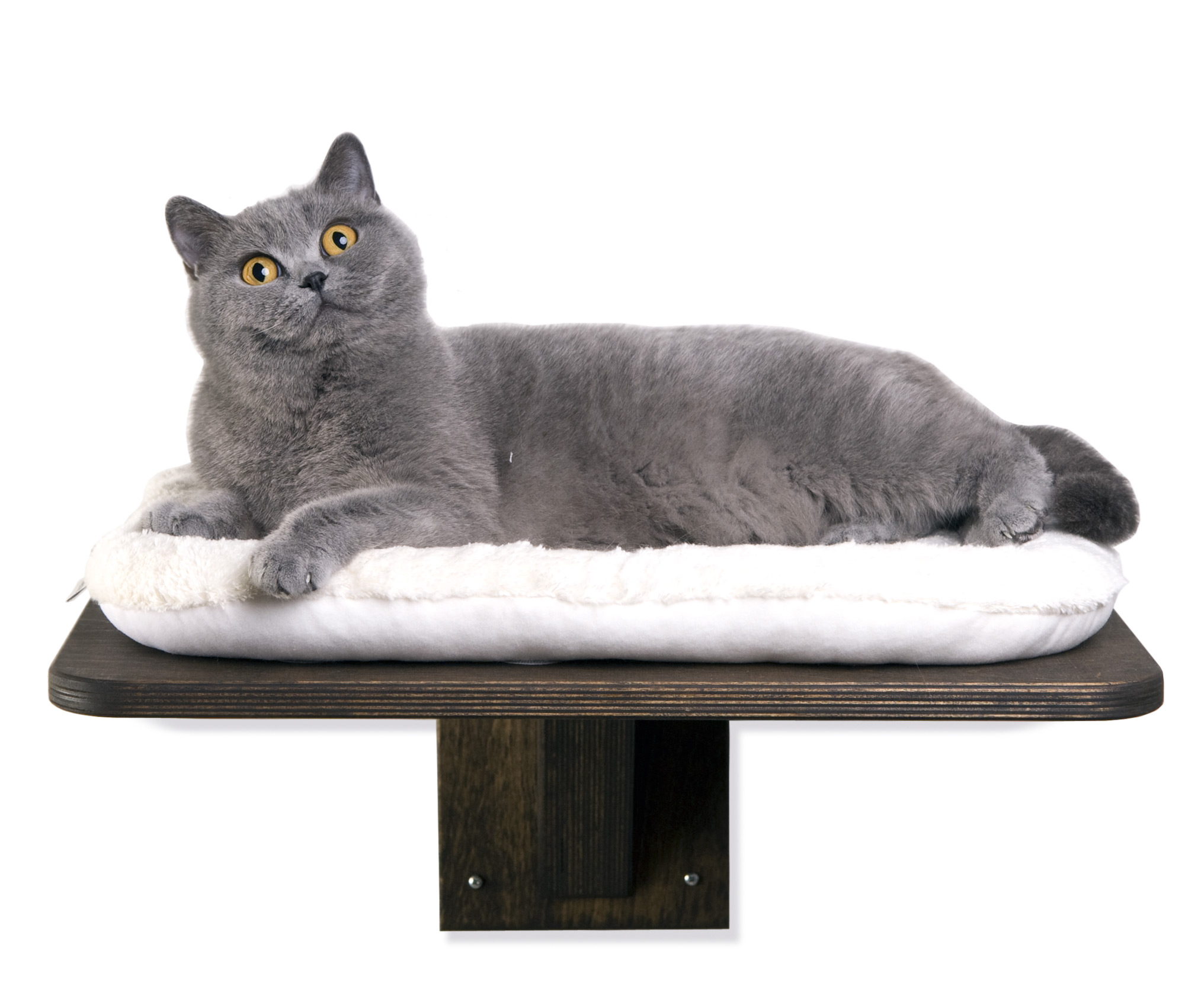 Wandhalterung mit Liegeebene LE1 Katzen Wandliege eiche