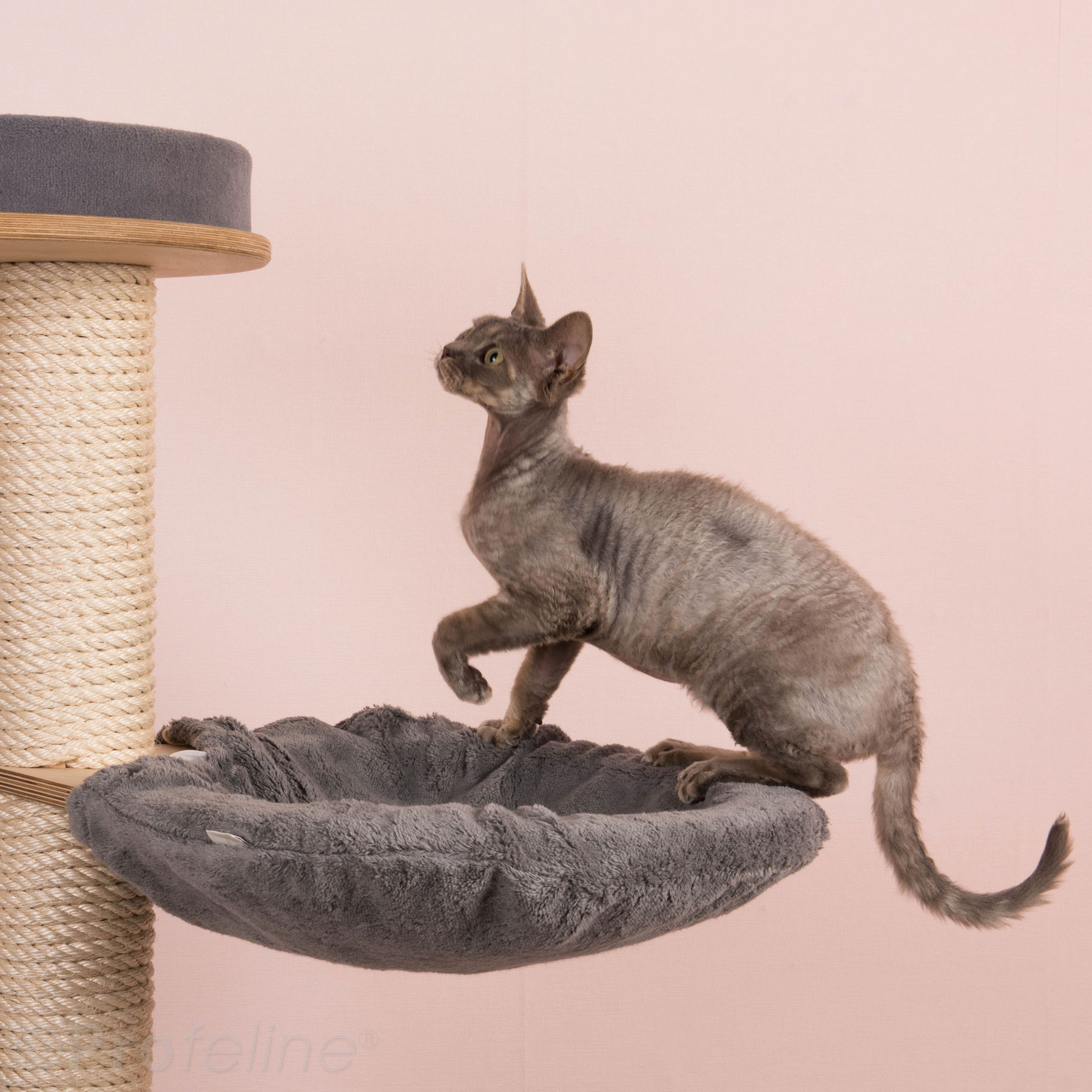 Kratzbaum Liegemulde Bezug Baukastensystem grau