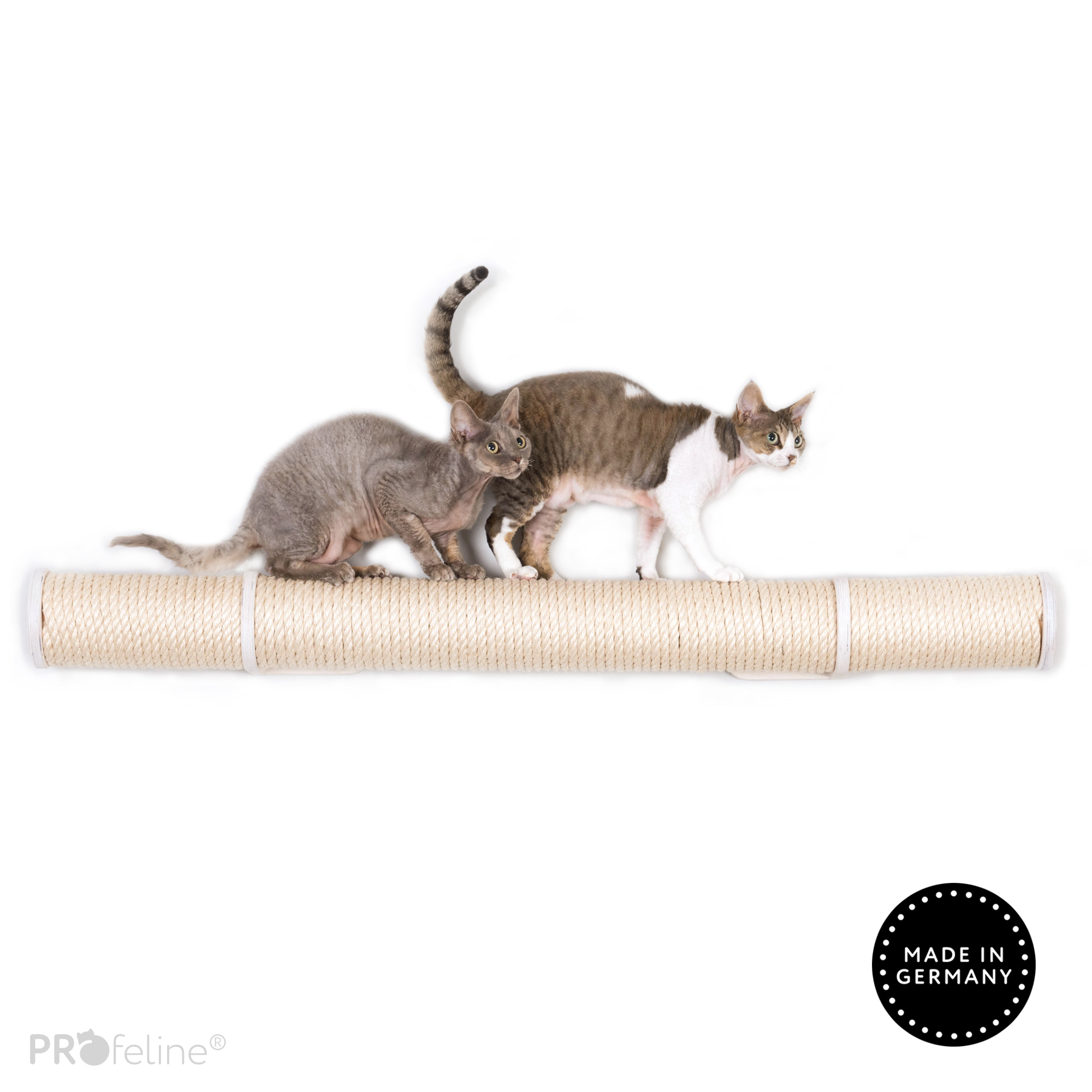 cat-laufsteg-runway-white Sisal Natur, Holzfarbe Weiss