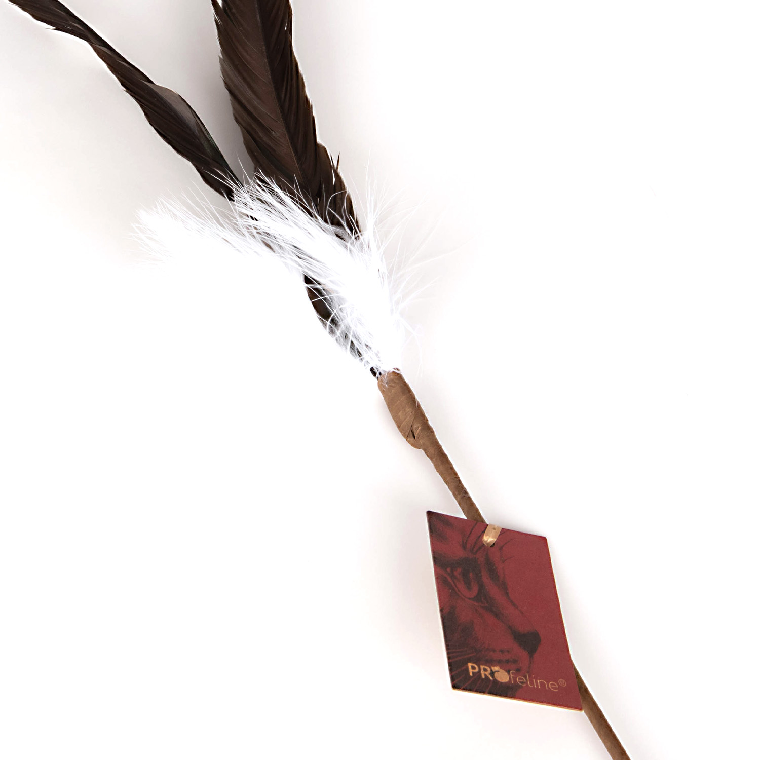 Katzenwedel Rooster Dancer