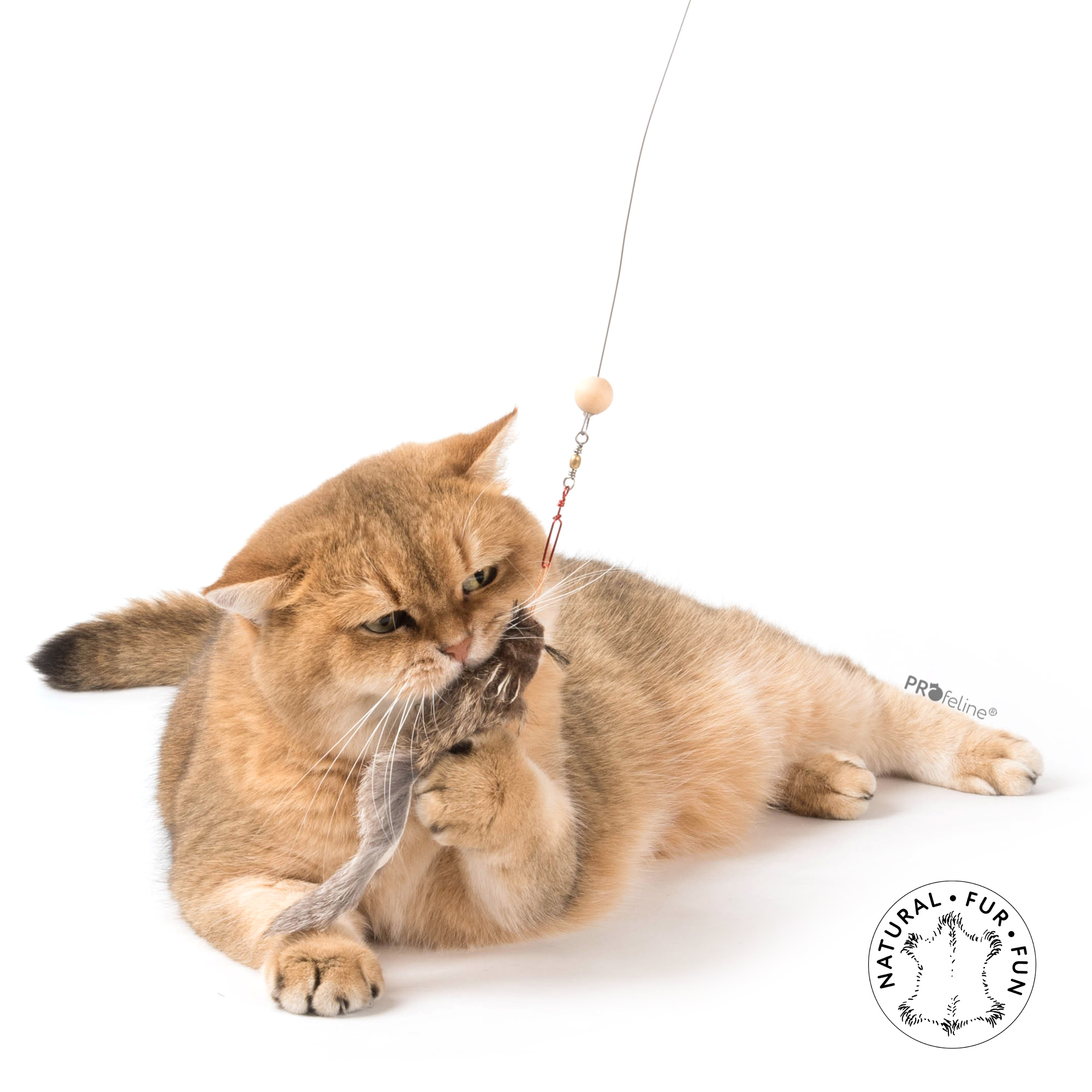 cat-toy-ersatzanhaenger-squirrely Profeline - Squirrely Anhänger