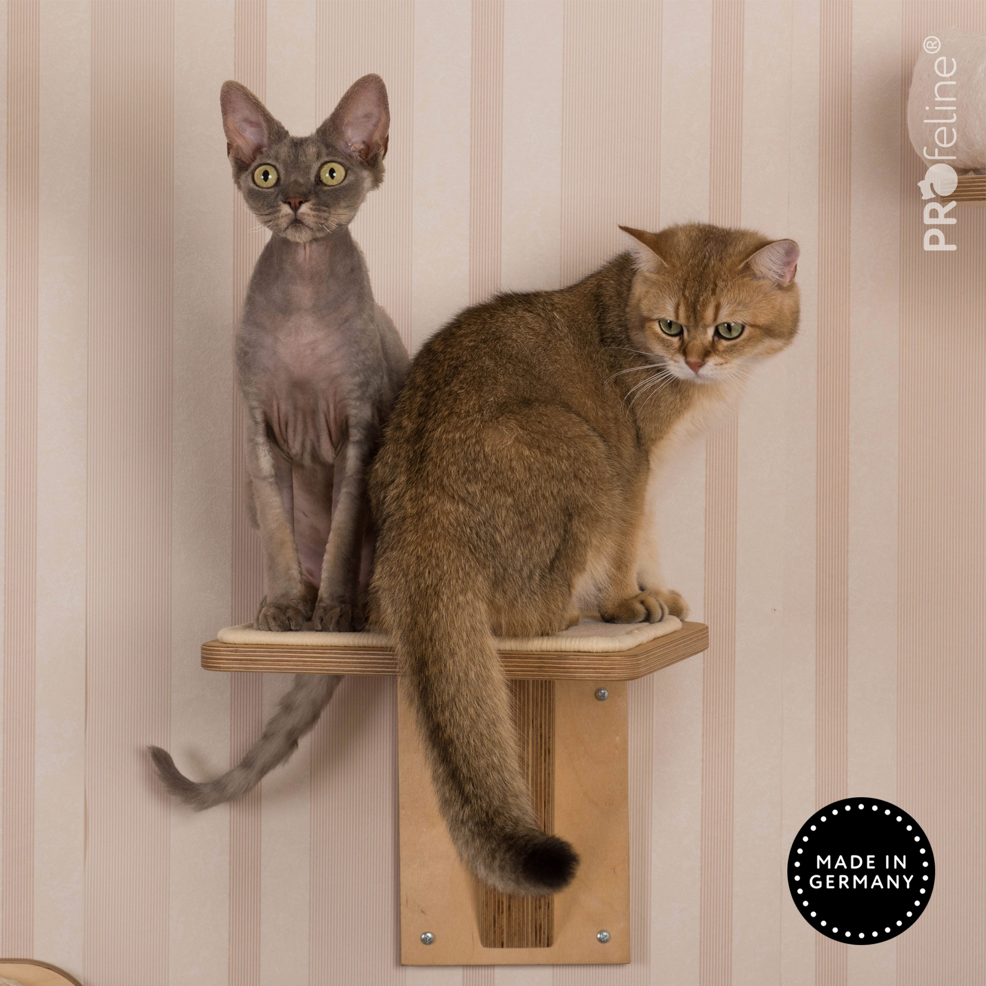 Katzen Wandhalterung mit Treppenstufe Katzen Wandhalterung mit Treppenstufe