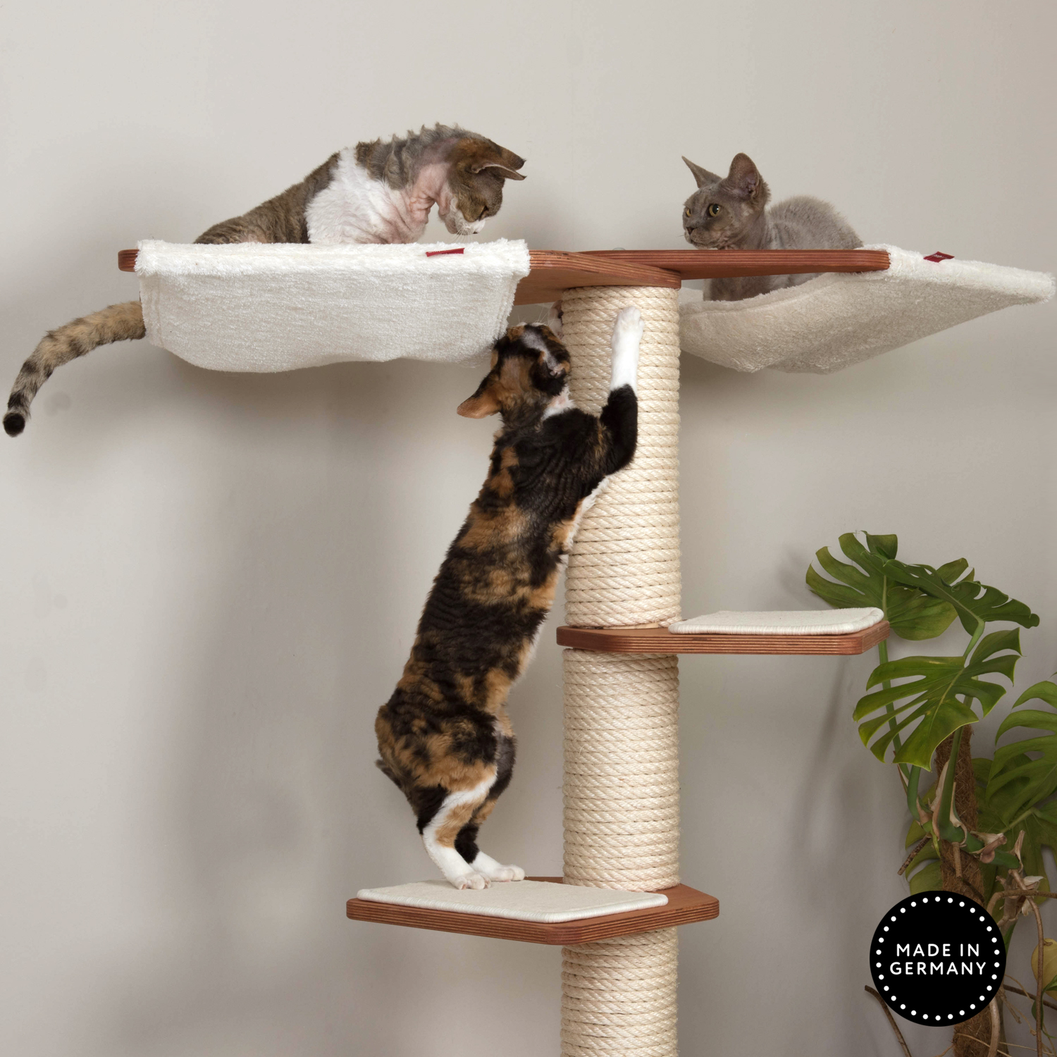 Kratzbaum Hängematten Zreppenstufen