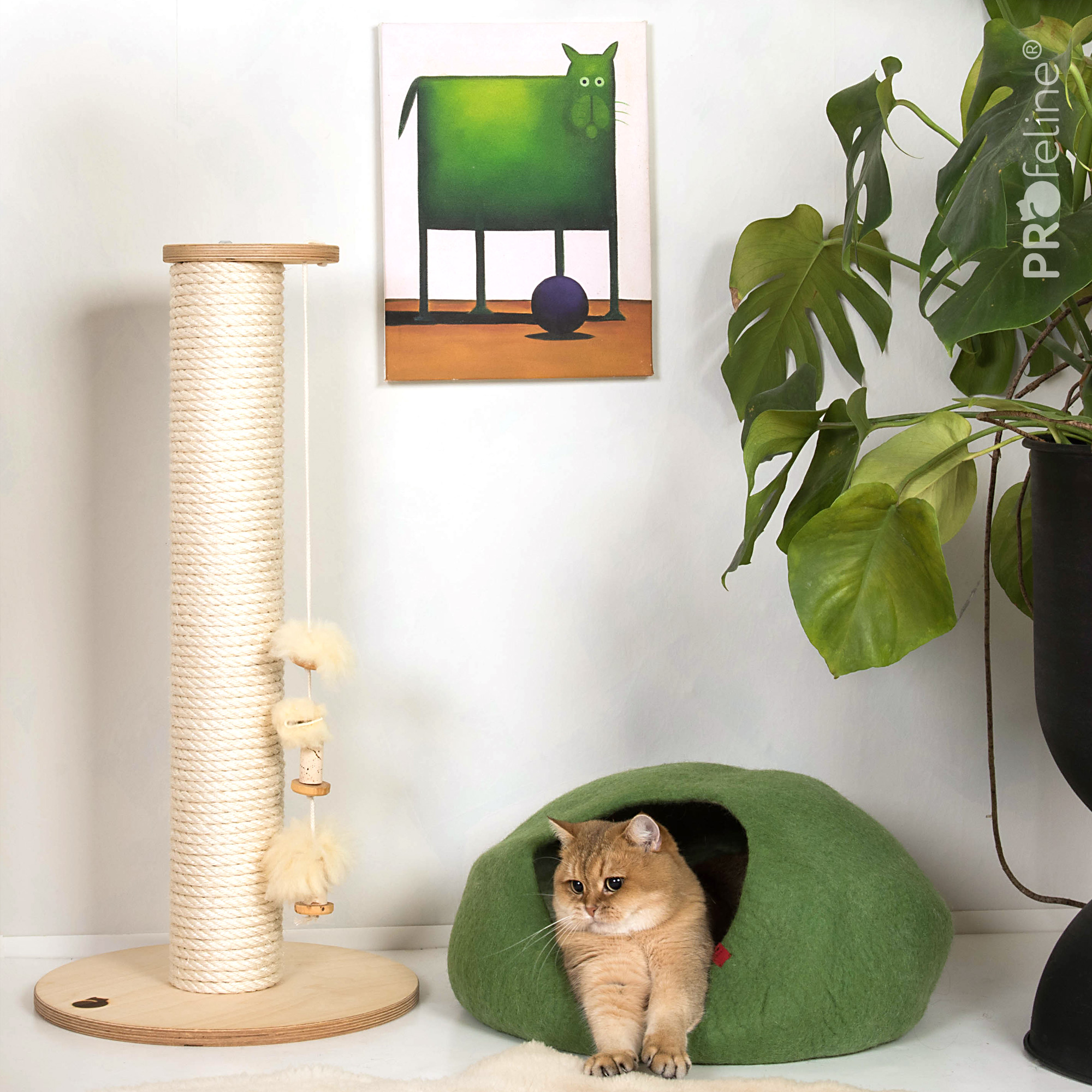 Katzen Filzhöhle Woolly Cave Grün Katzen Filzhöhle grün schurwolle