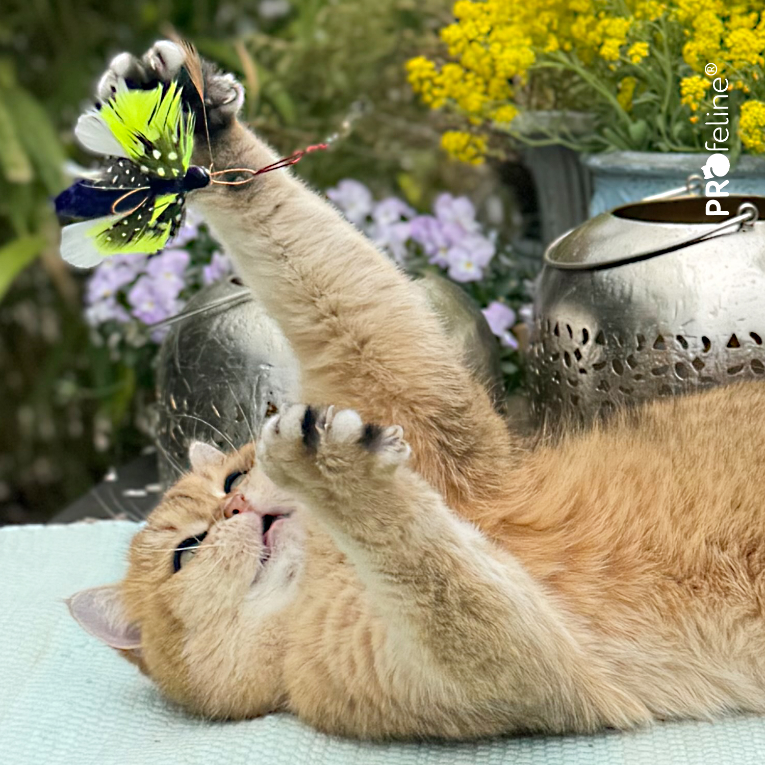 Butterfly Ersatzanhänger Katzenspielzeug Schmetterling für Katzenangel