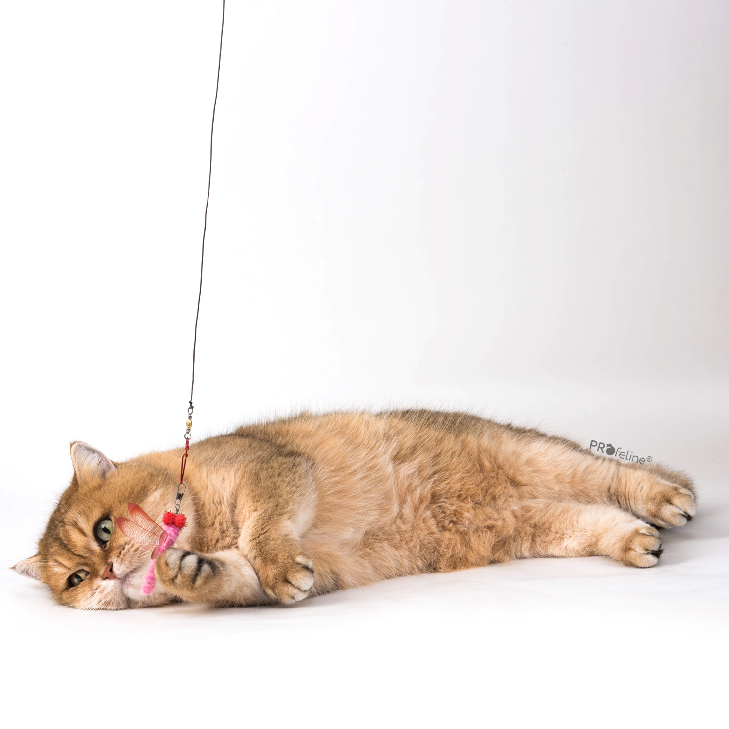 Liebelle pink für Katzenangel