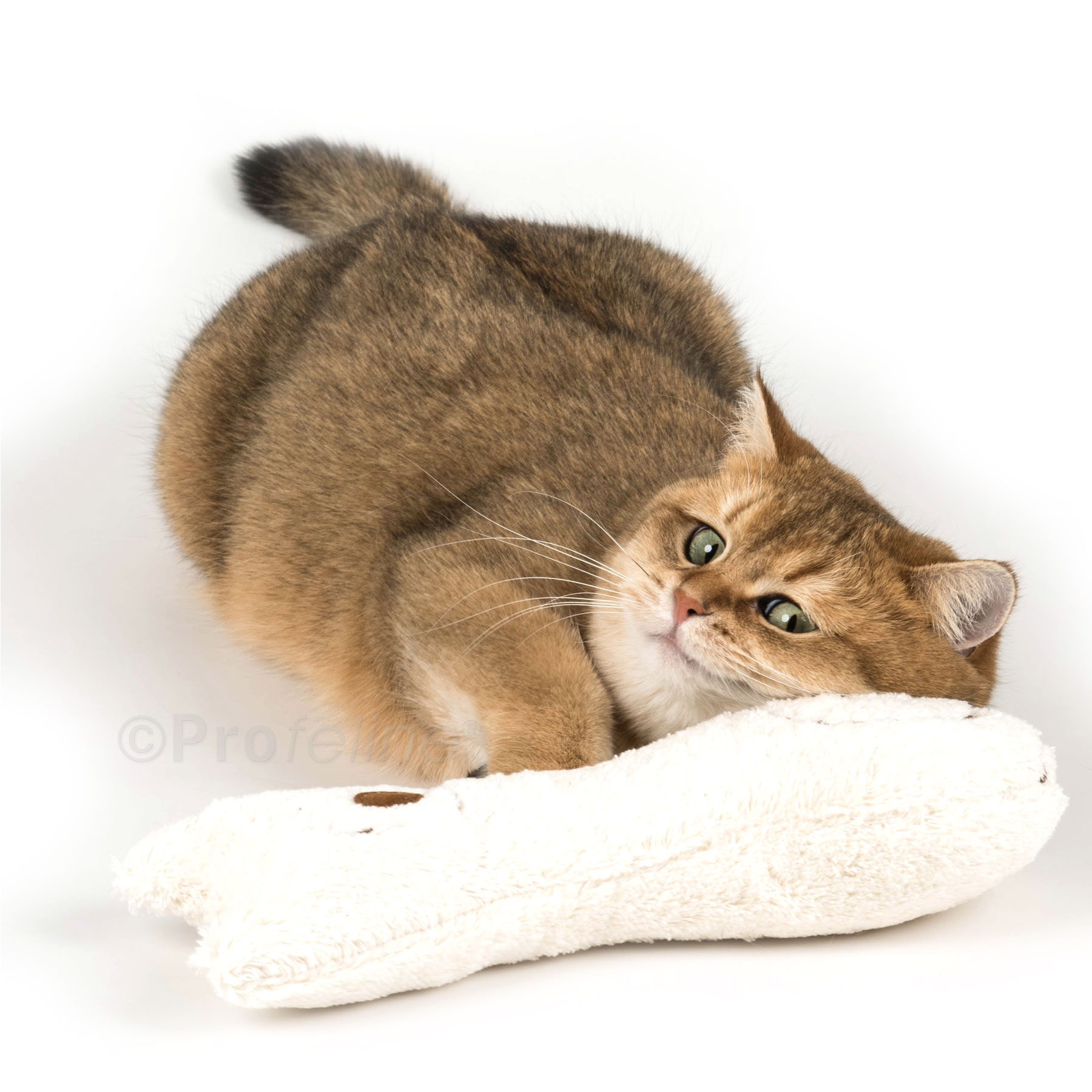 Catnip Buddy Katzen Stinkekissen