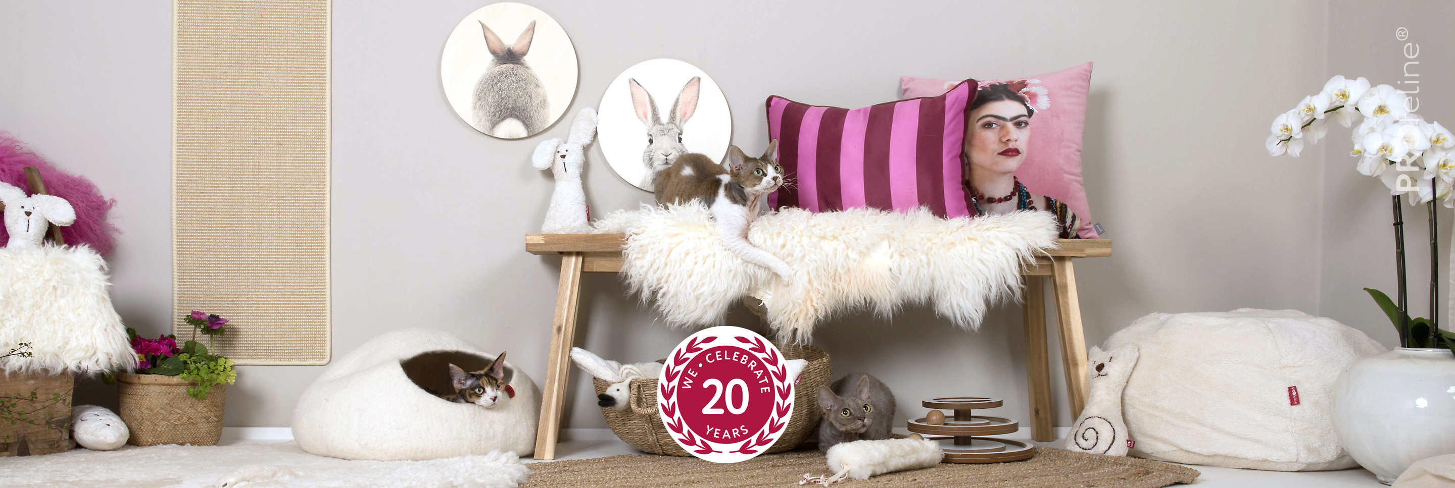 Katzenzimmer einrichten