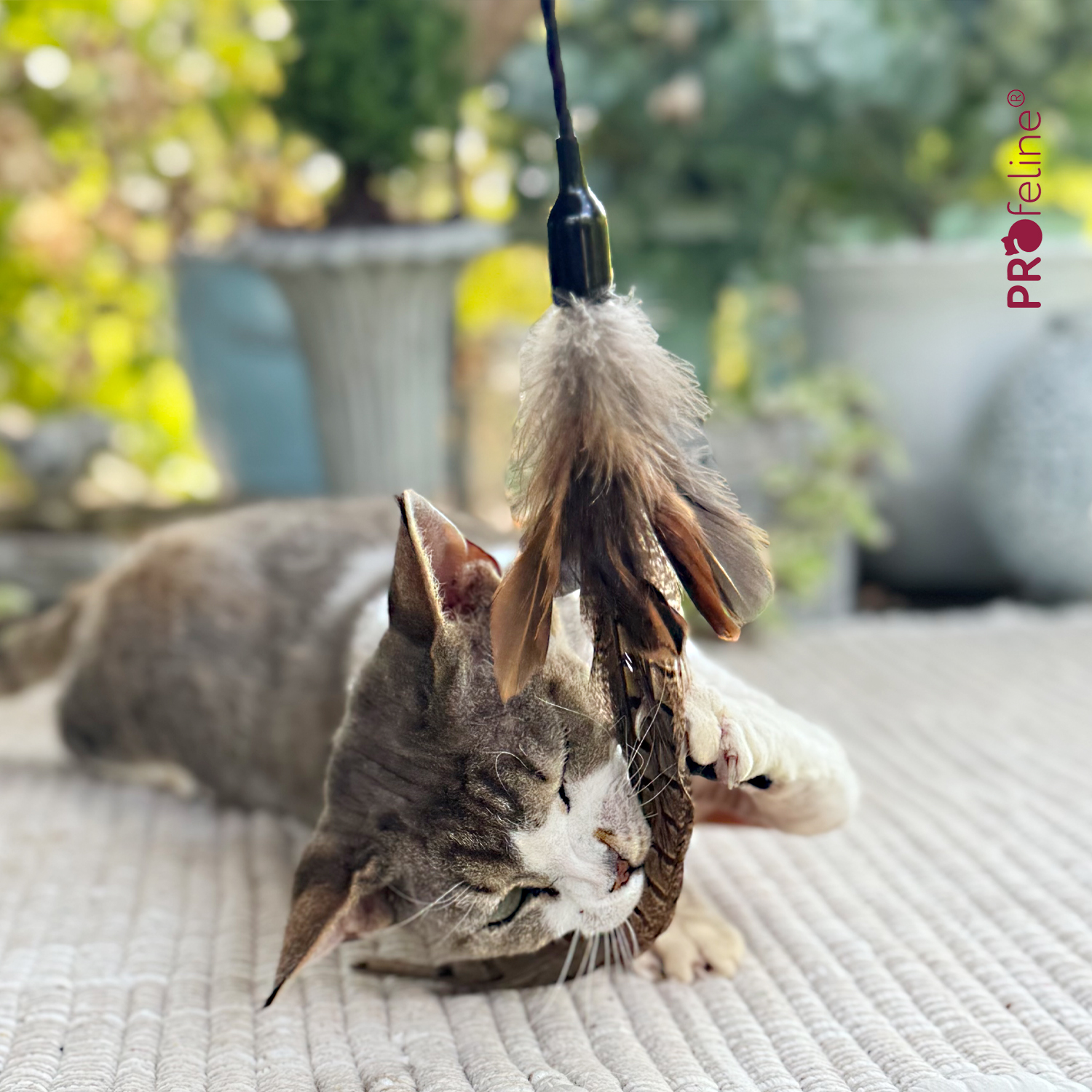 Profeline - Federwedel Hunting Wild Katzen Federstab lange Feder Katzenshop
