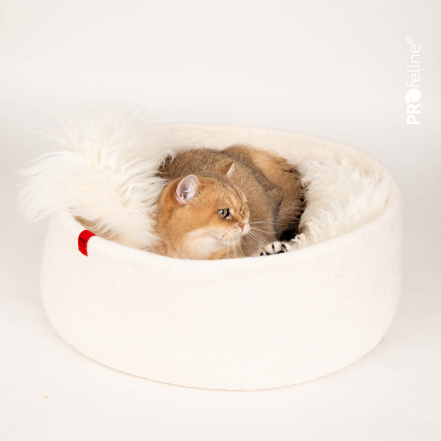 Felt Basket - Handgefilztes Katzenbett / Natur