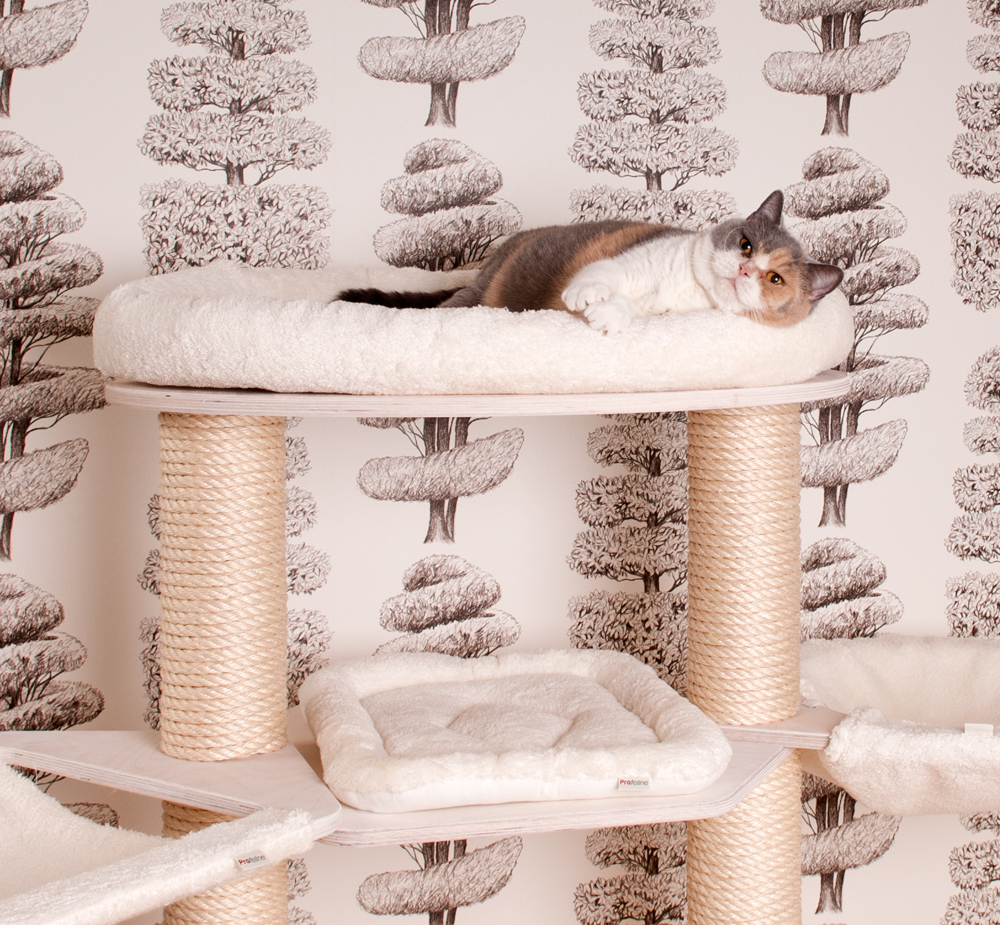 Große Katzenliegeebene Abbilung in Holzfarbe Weiss mit Klettkissen