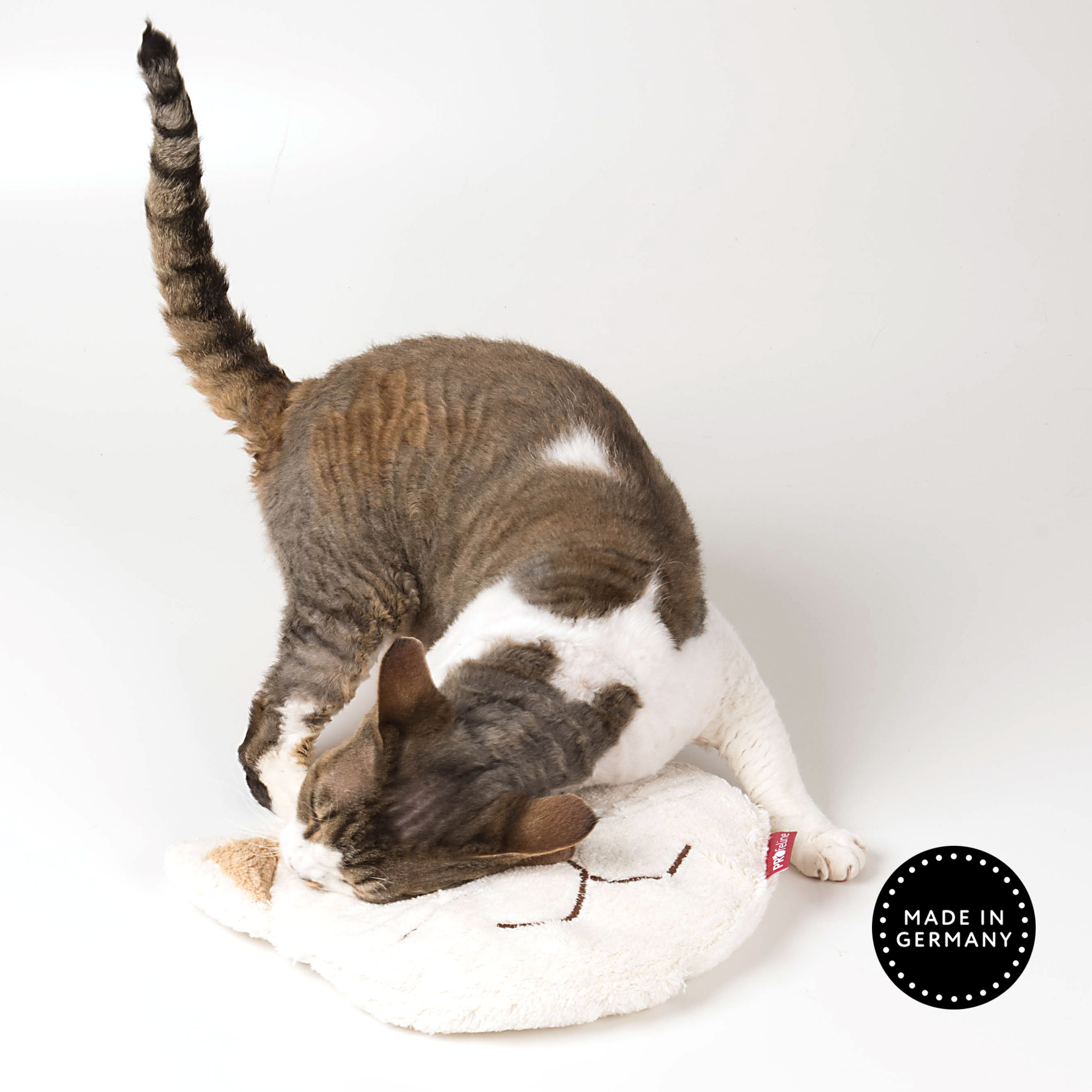 cat-heat-pillow-pauline-with-cat Wärmekissen Pauline
