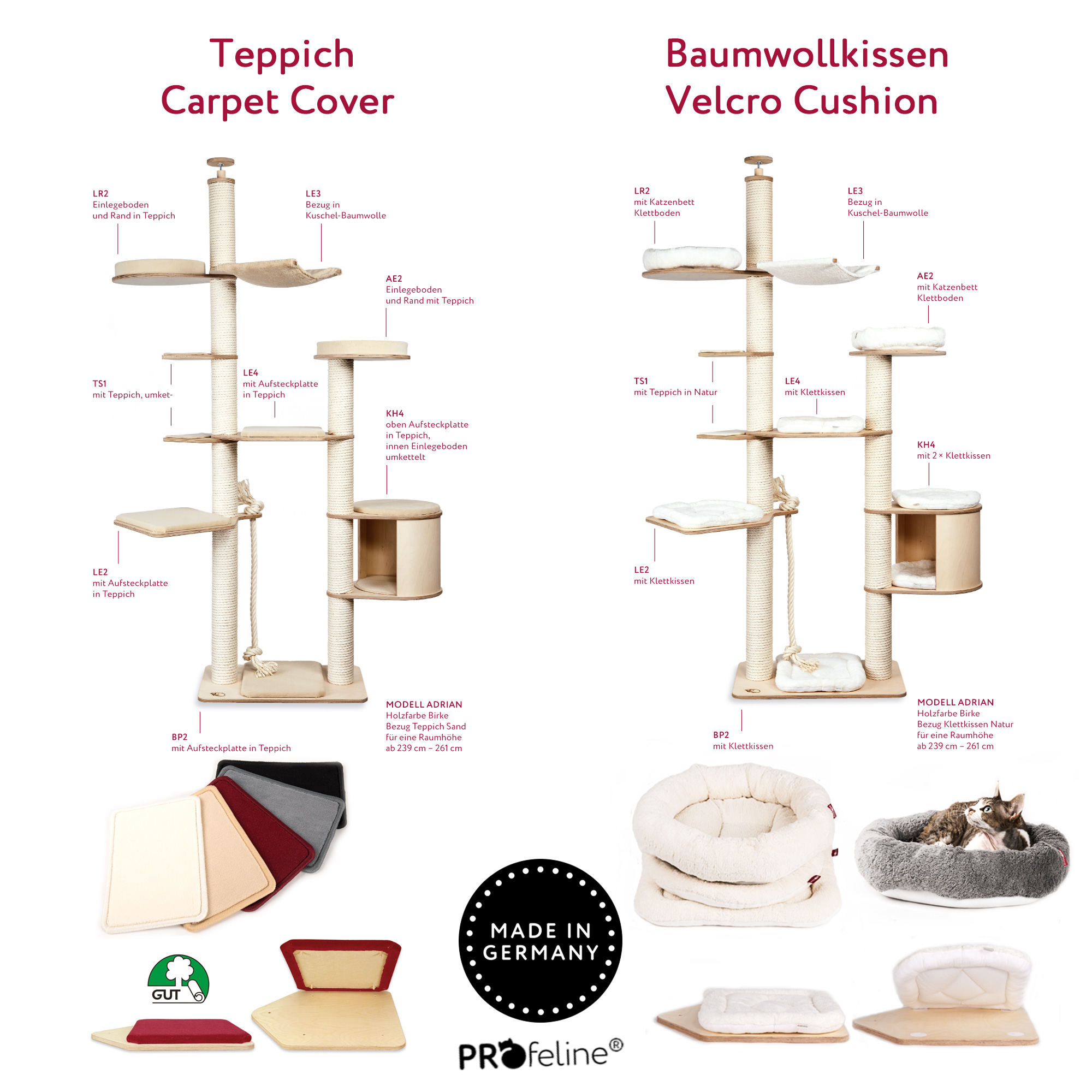 Vergleich Teppich / Baumwollkissen