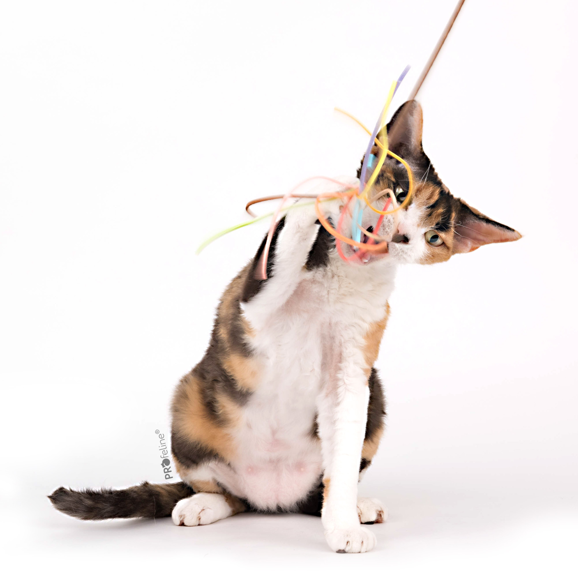 Profeline - Katzenwedel Suede Tassel Katzenwedel Lederbänder
