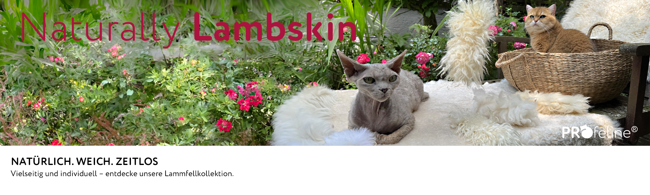 Natürlische Lammfelle für Katzen