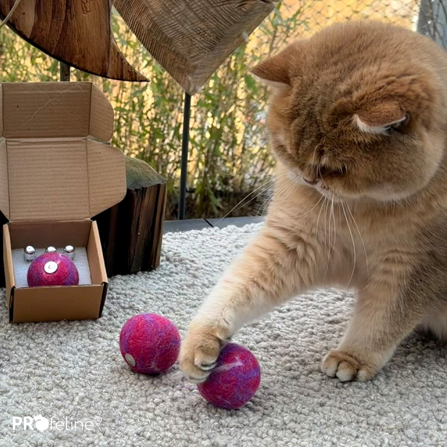 Katzen Filzball mit Duftfach