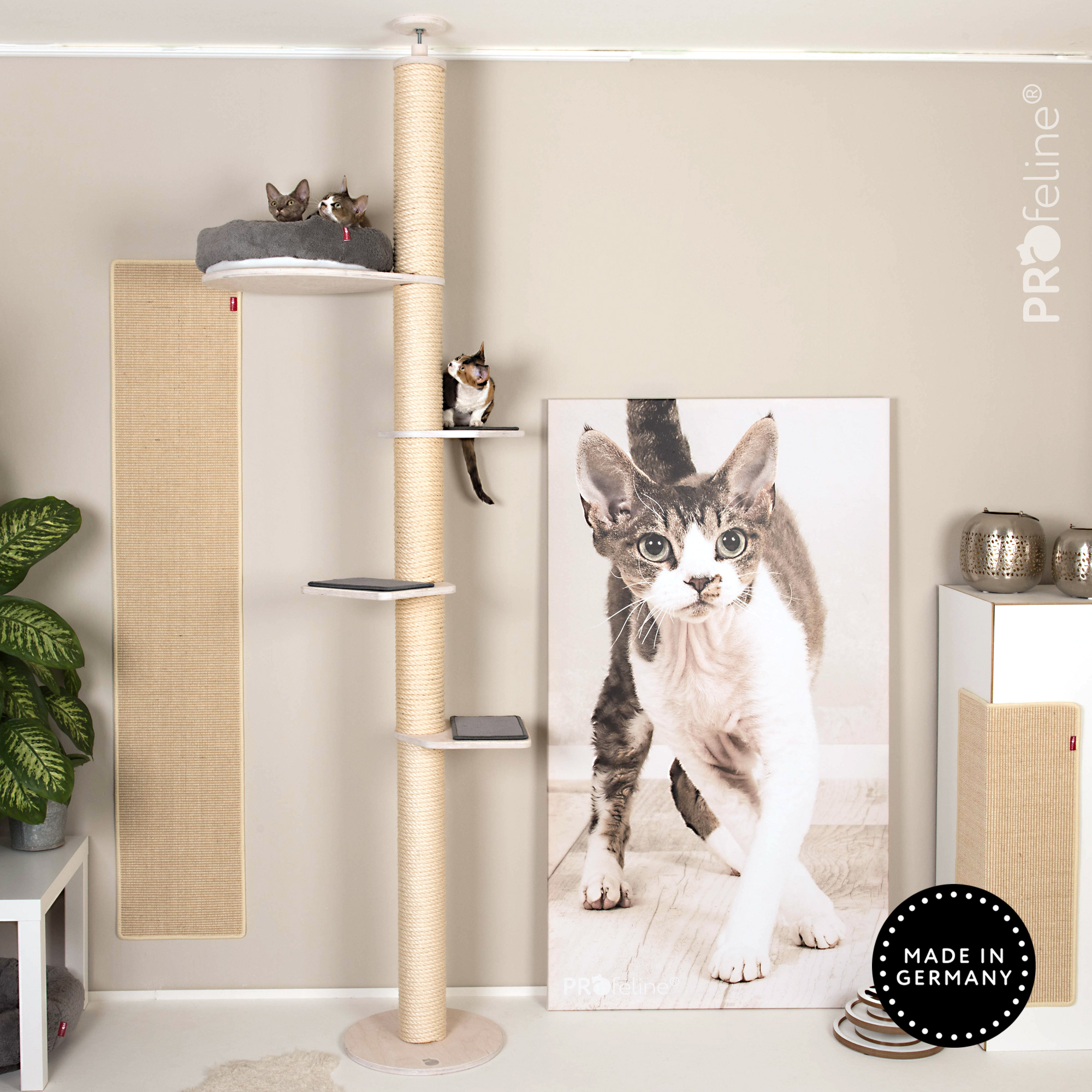Katzen Kletterbaum Deckenspanner kletterbaum individuell