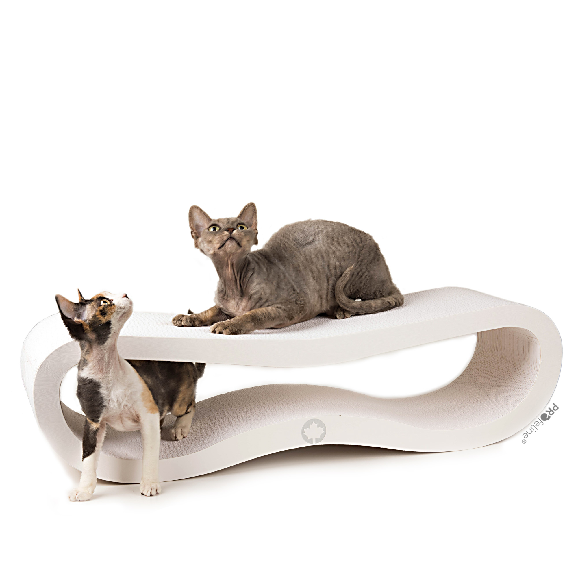 Kratzmoebel-Orbit-aus-Pappe-weiss-83-cm