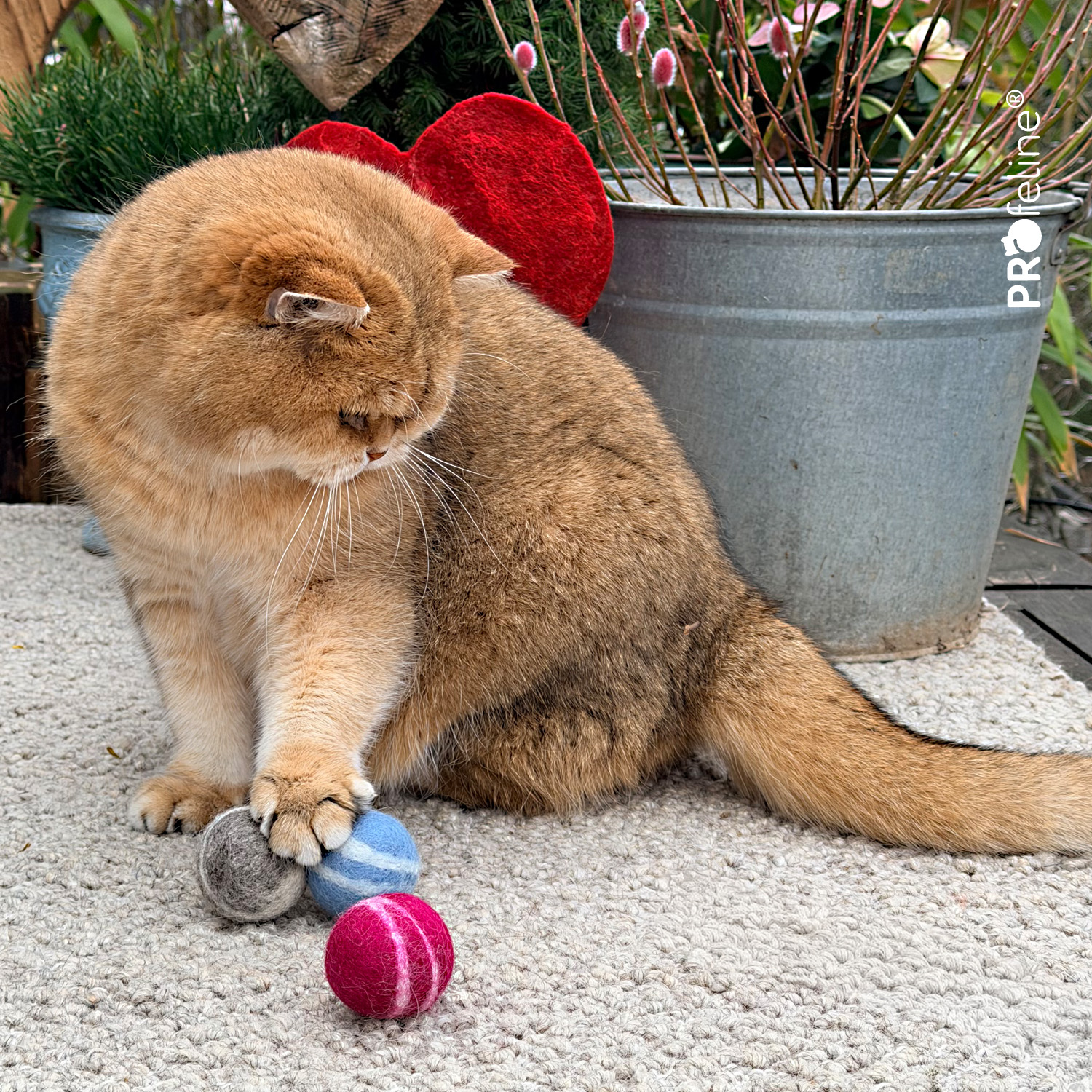 Katzen Filzbälle pink blau grau