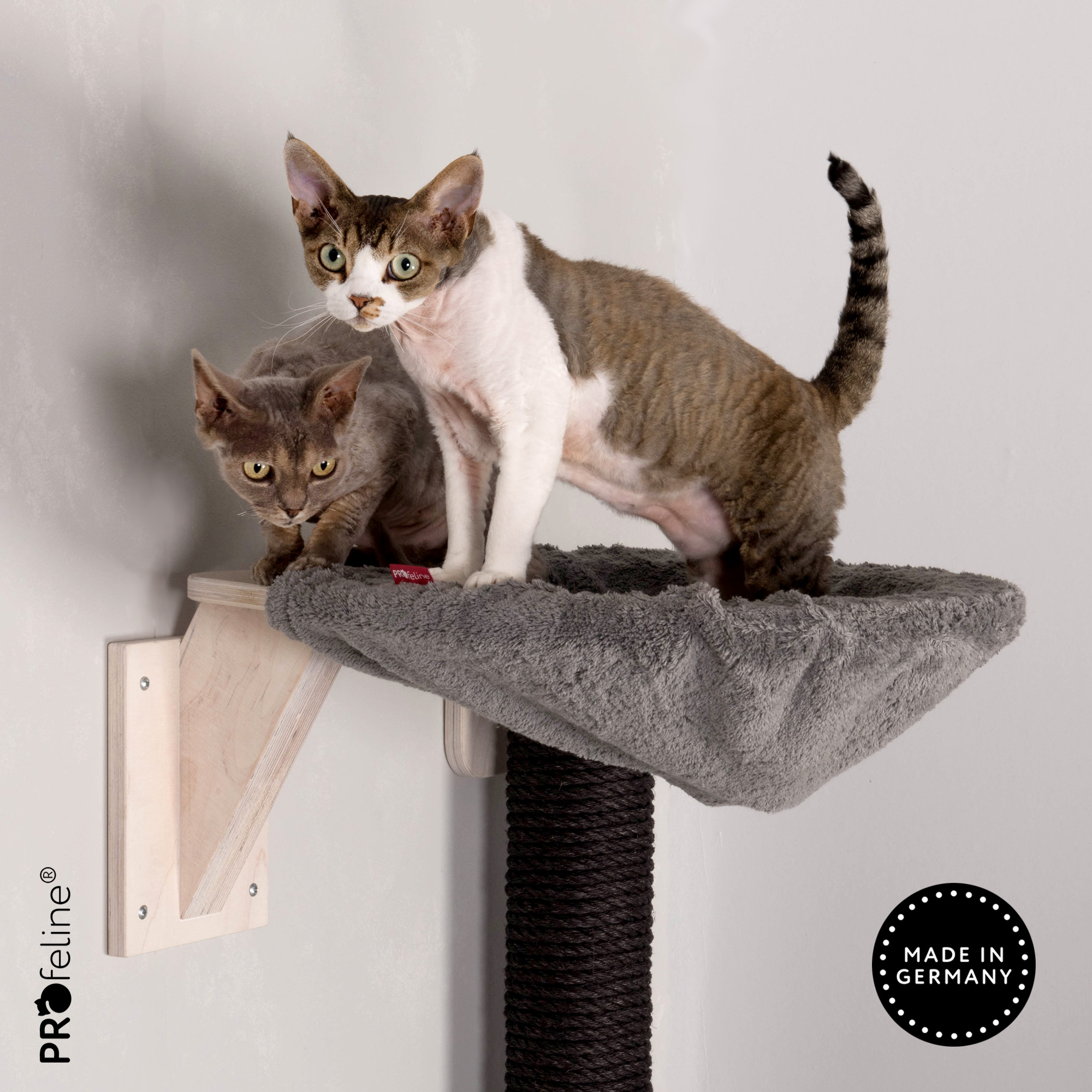 katzen-mulde-zur-wandmontage-grau Holzfarbe Weiss, Bezug Classicsilber