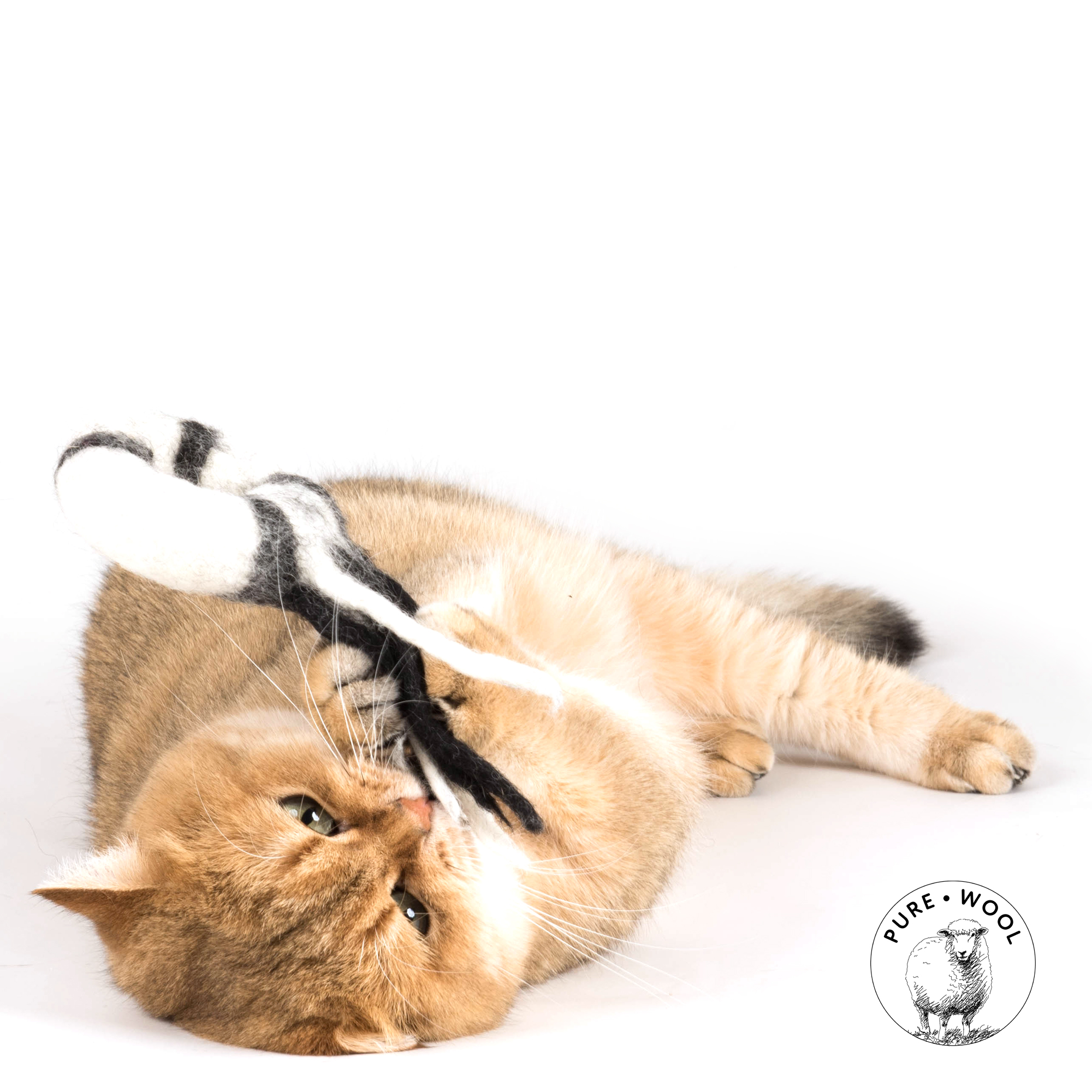 cat-toys-profeline-SW341CD-donatcomet-katze-1