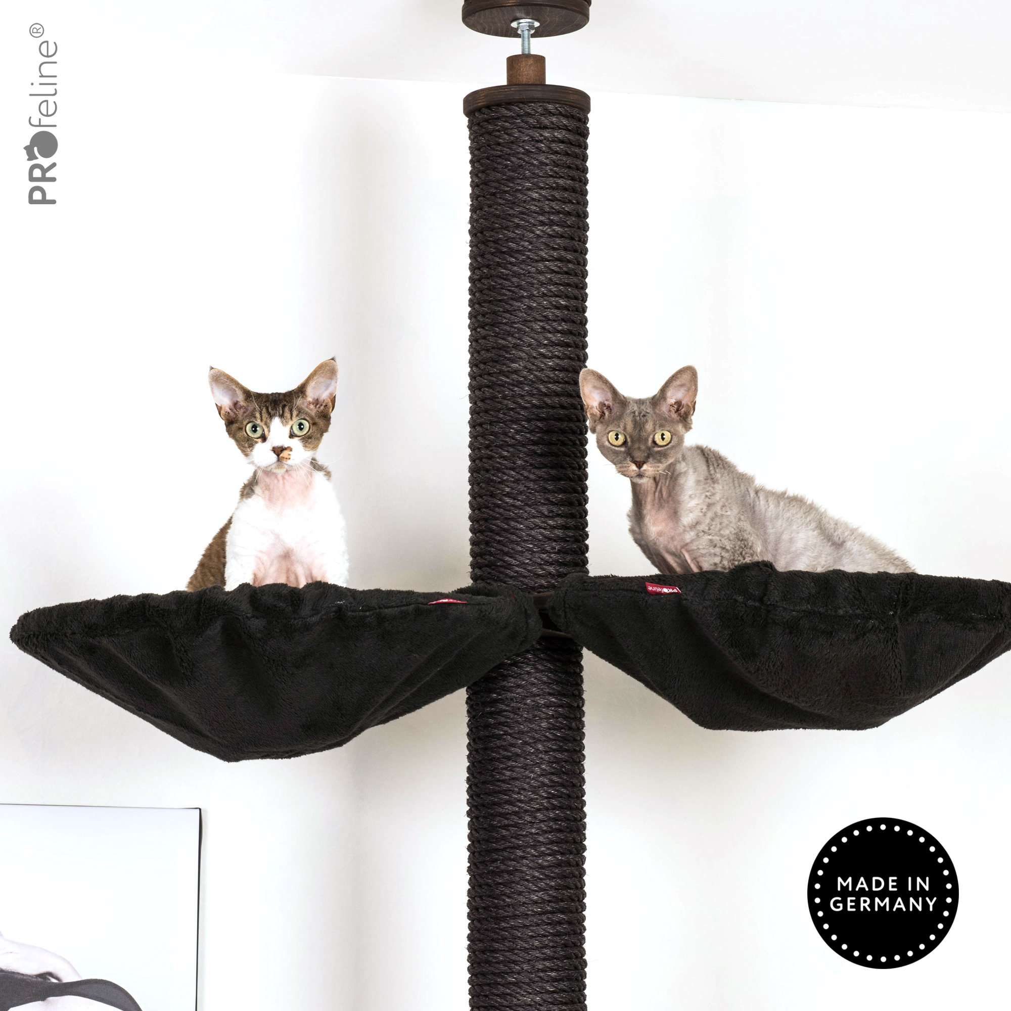 Deckenspanner Modell Anouk Deckenhoher Kratzbaum schwarz Mulden