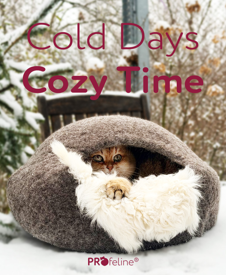 Katzenshop nachhaltiges Katzenzubehör