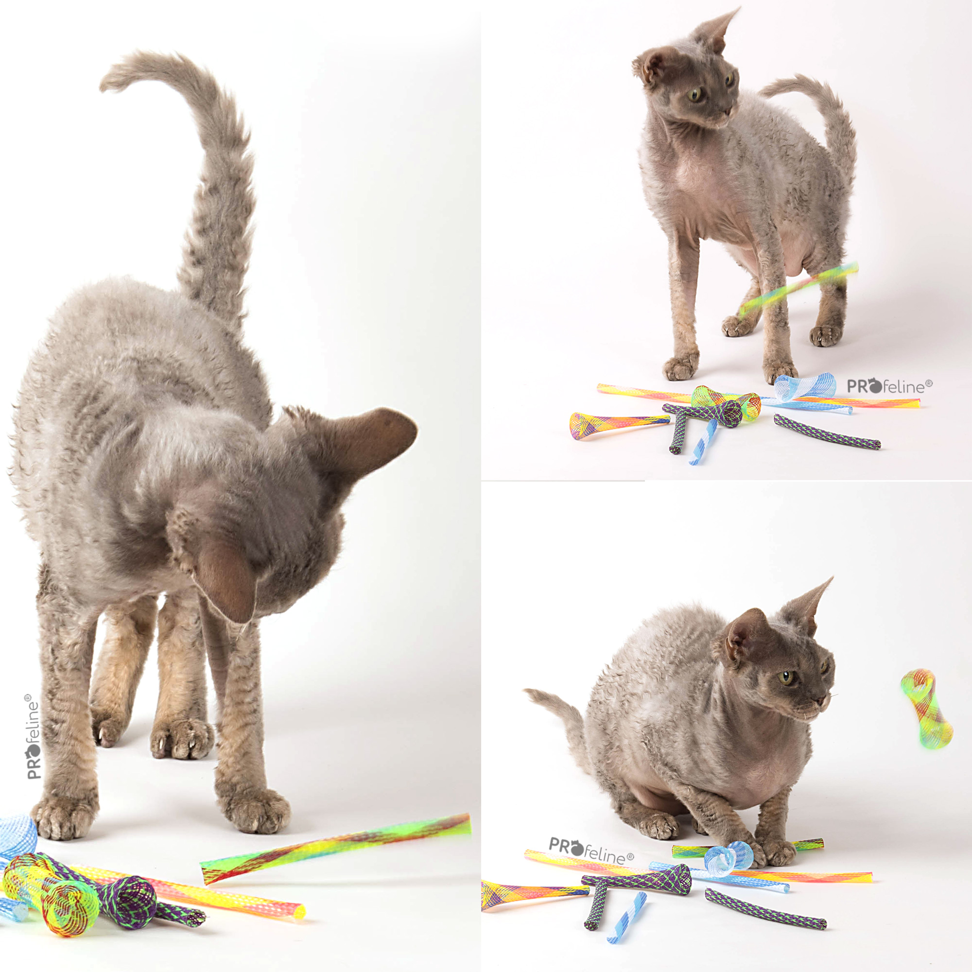 Profeline - Kitty Boink Cat Toy Kitty Boinks