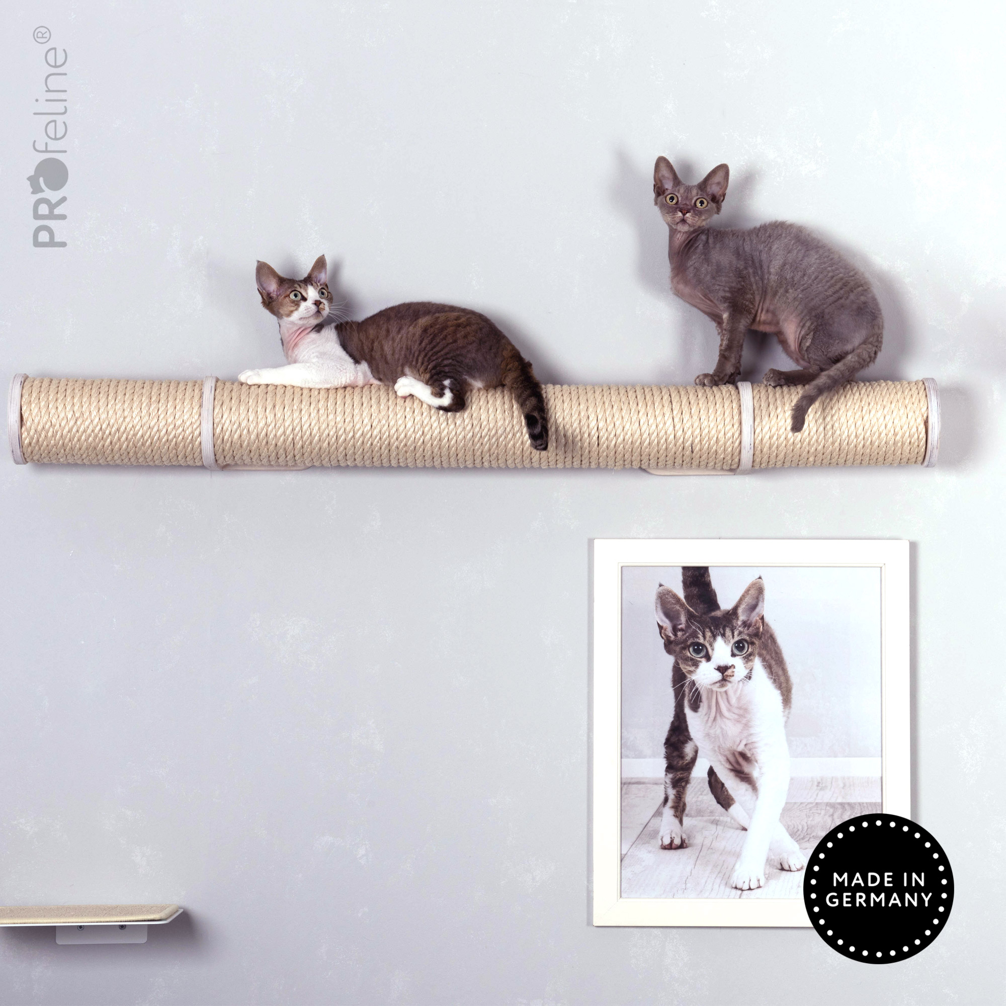 catwalk-runway-weiss-cats Sisal Natur, Holzfarbe Weiss