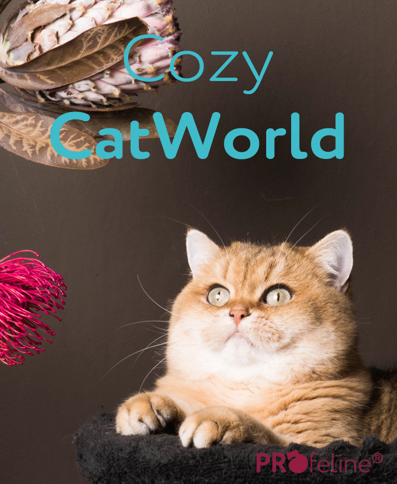 Katzenshop Katzenshop für natürliches Wohnen