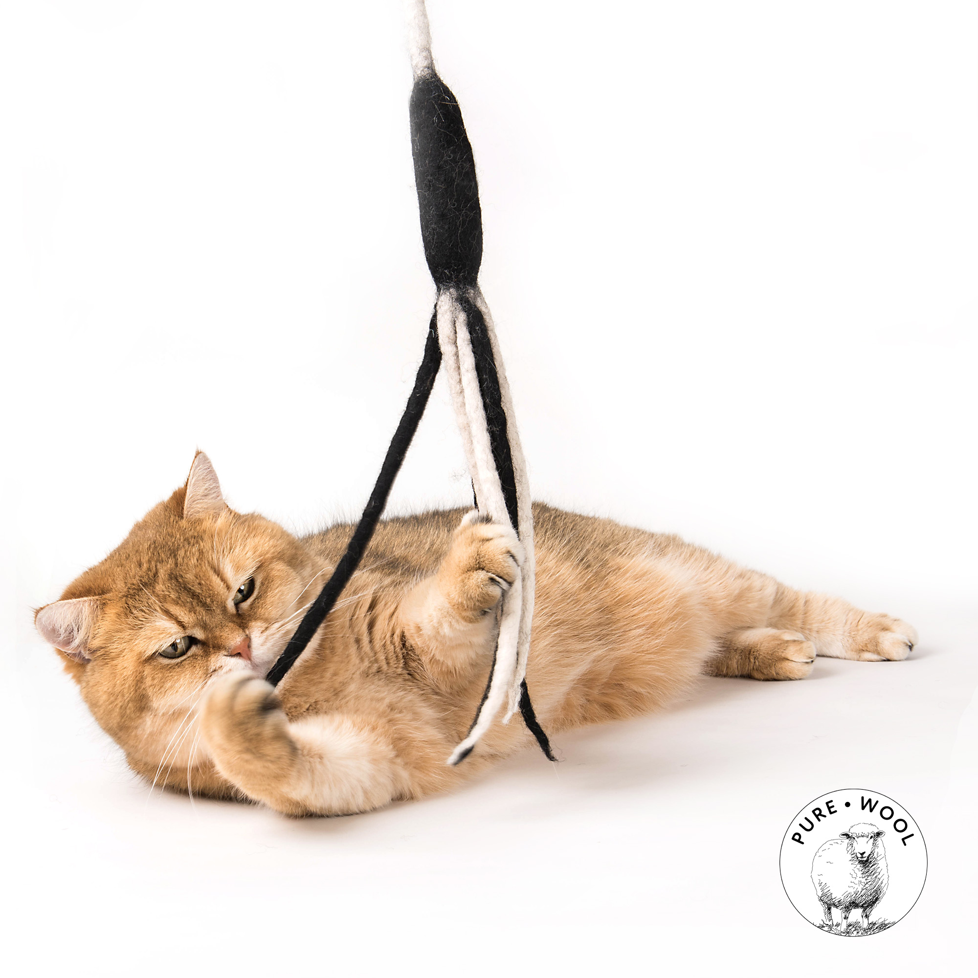 cat-toy-felted-tentacle-leash-maja Profeline - Felted Tentacle Leash