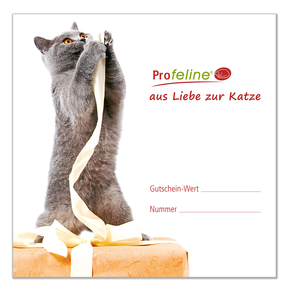 Gutschein für Katzen