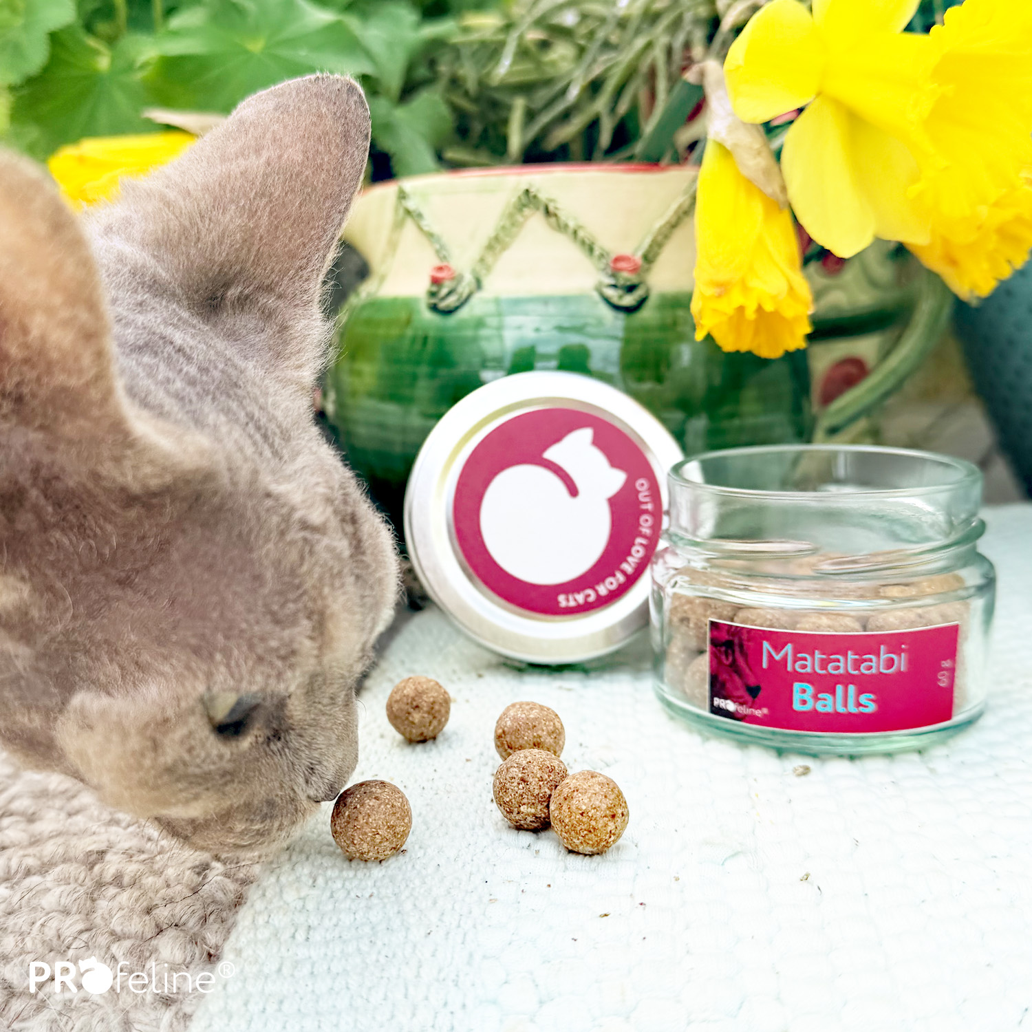 Matatabi / Silvervine Balls