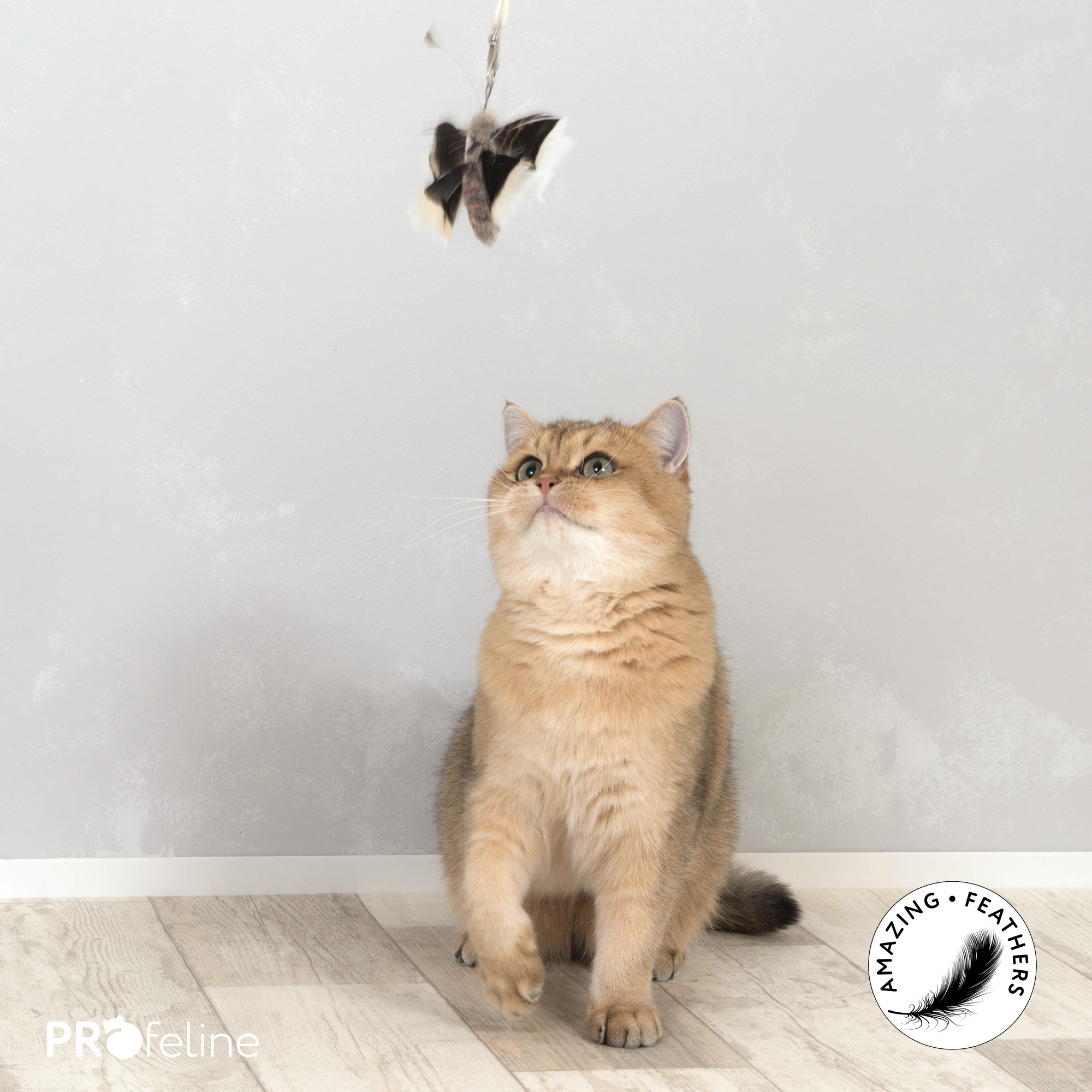 cat-toy-feathers-SP195FM-big-fluttermoth-refill