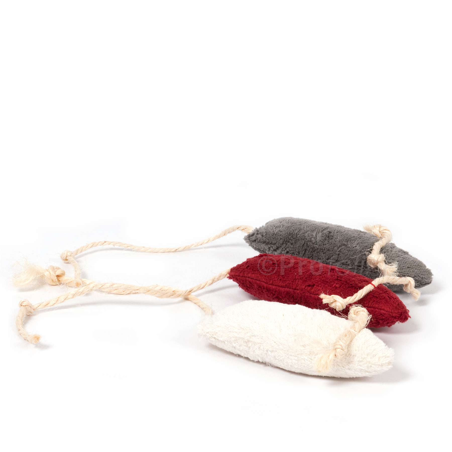 Maus Feline Katzen Stinke Maus Feline