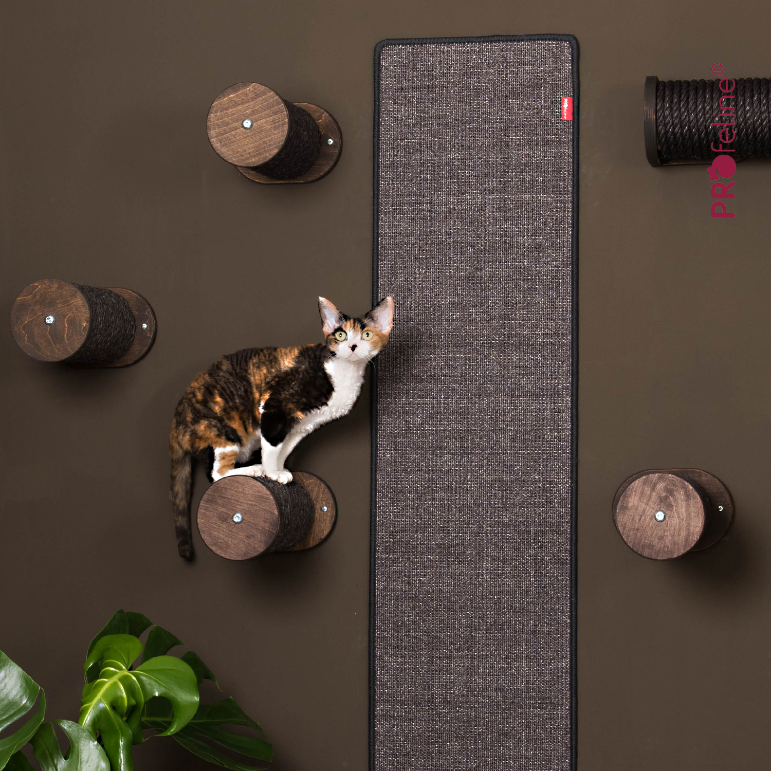 Katzen Wandmöbel Kletterstufe schwarz