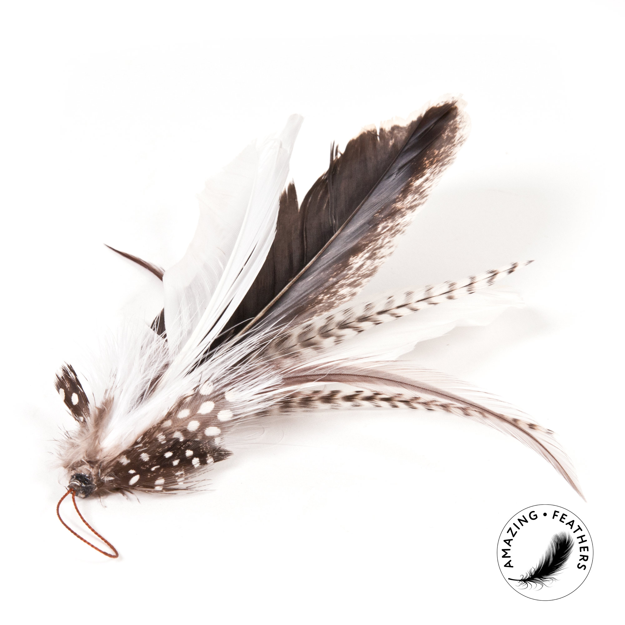 cat-toys-turkey-feather-refill-SP190TF-1 Turkey Feather Anhänger