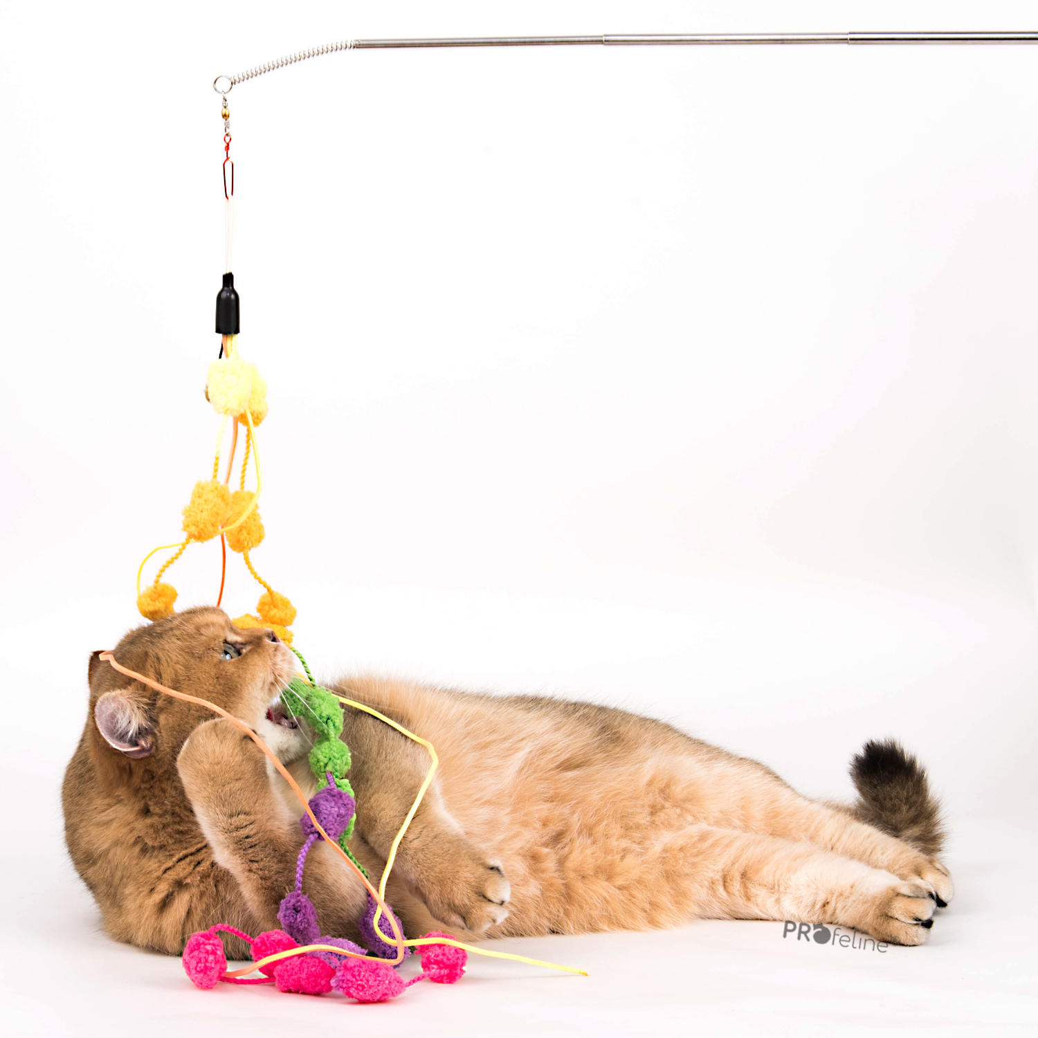 Pom Pom Ribbon Anhänger Katzenangel Anhänger Pom Pom lang mit Katze