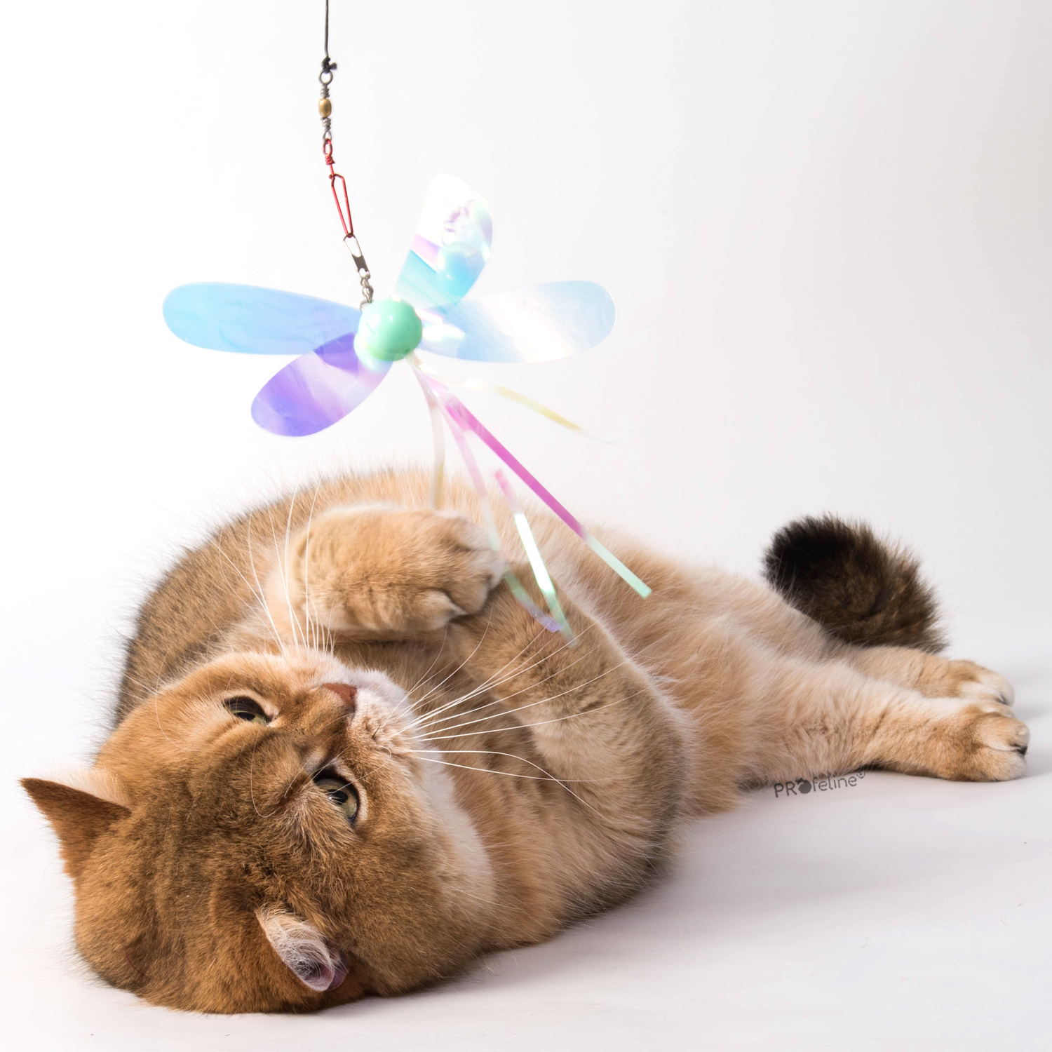 Holographic Butterflies Anhänger Holographic Schmetterling für Katzen