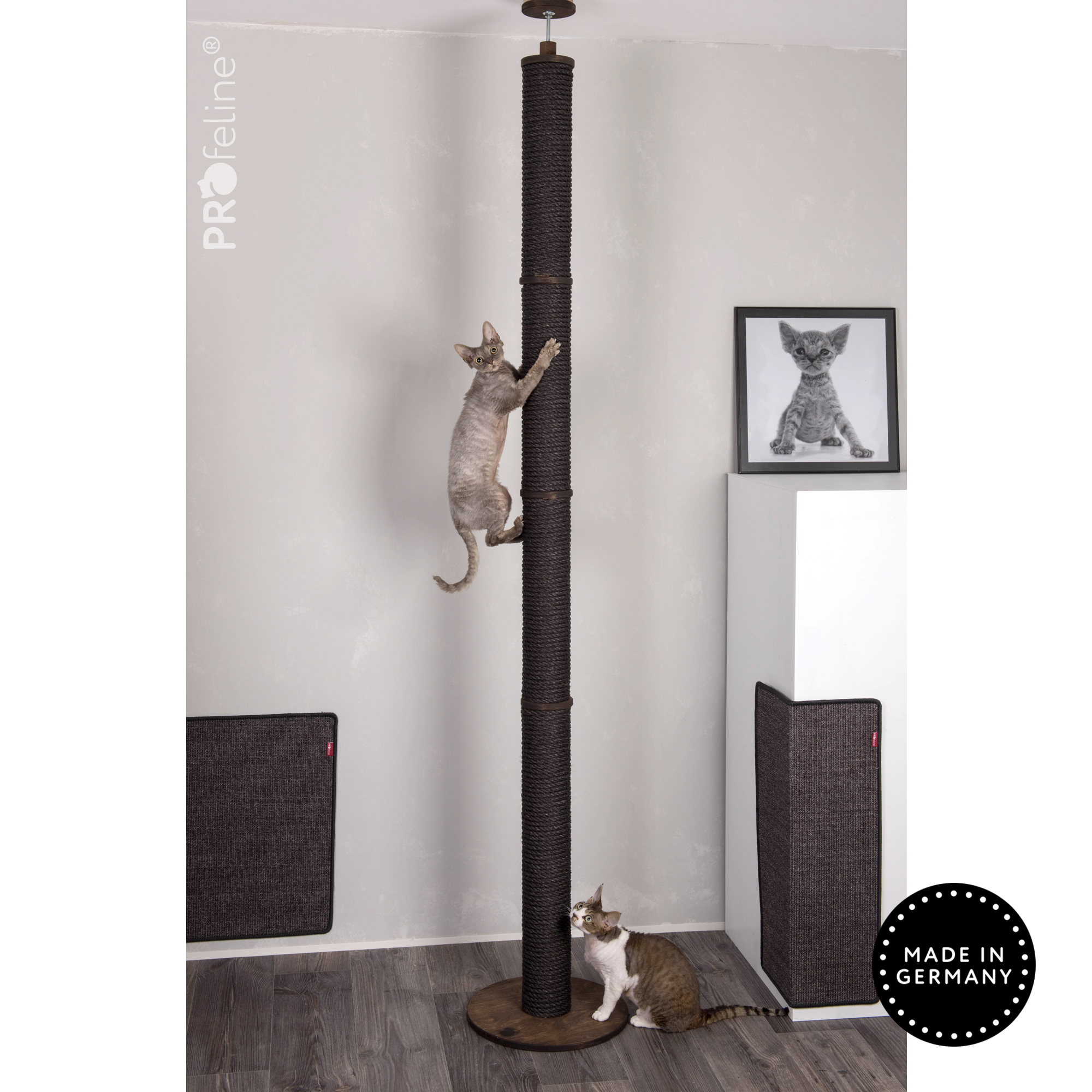 Klettersäule Deckenhoch Klettersäule Katzen schwarz