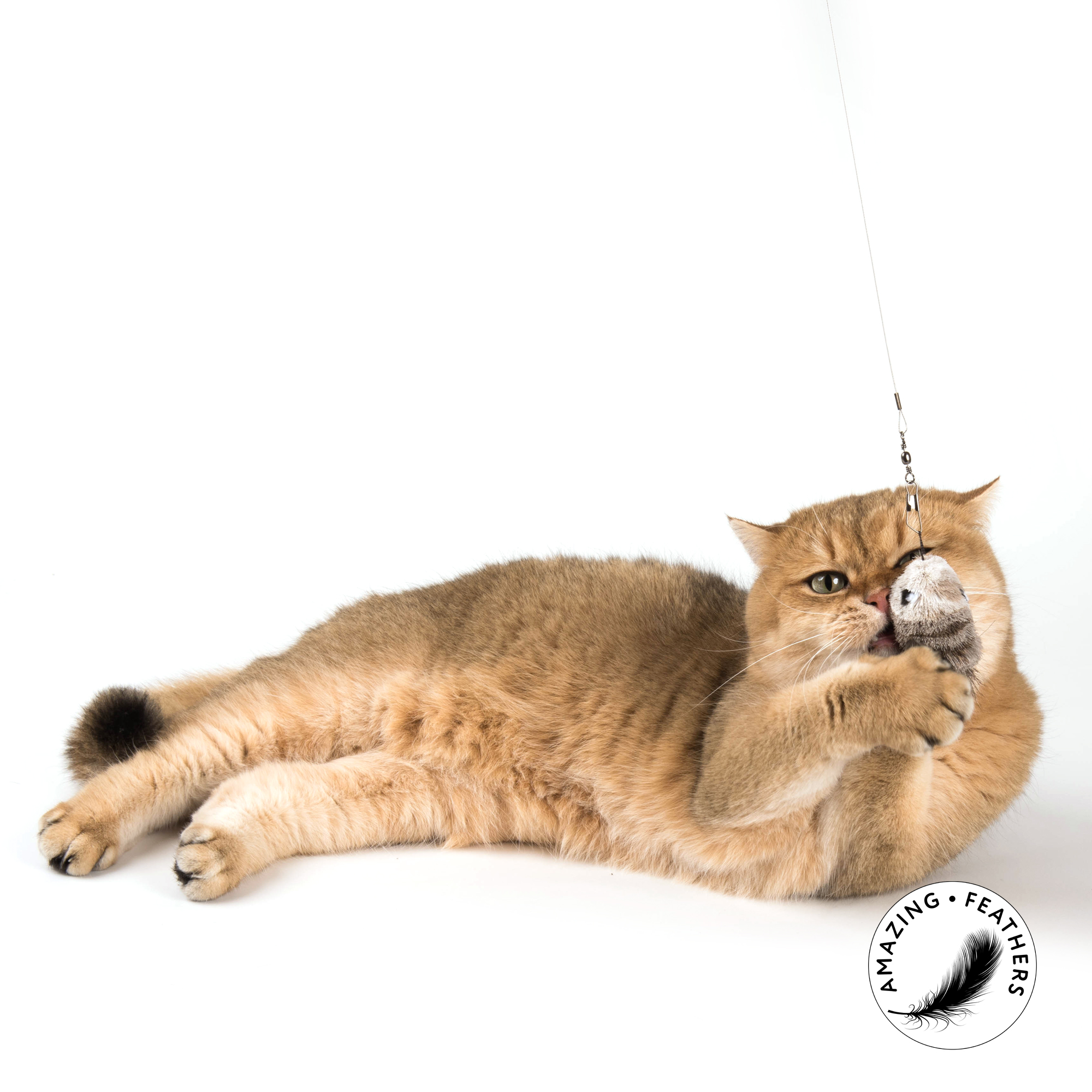 cat-toys-refill-SP191-mouse-anhaenger-katze